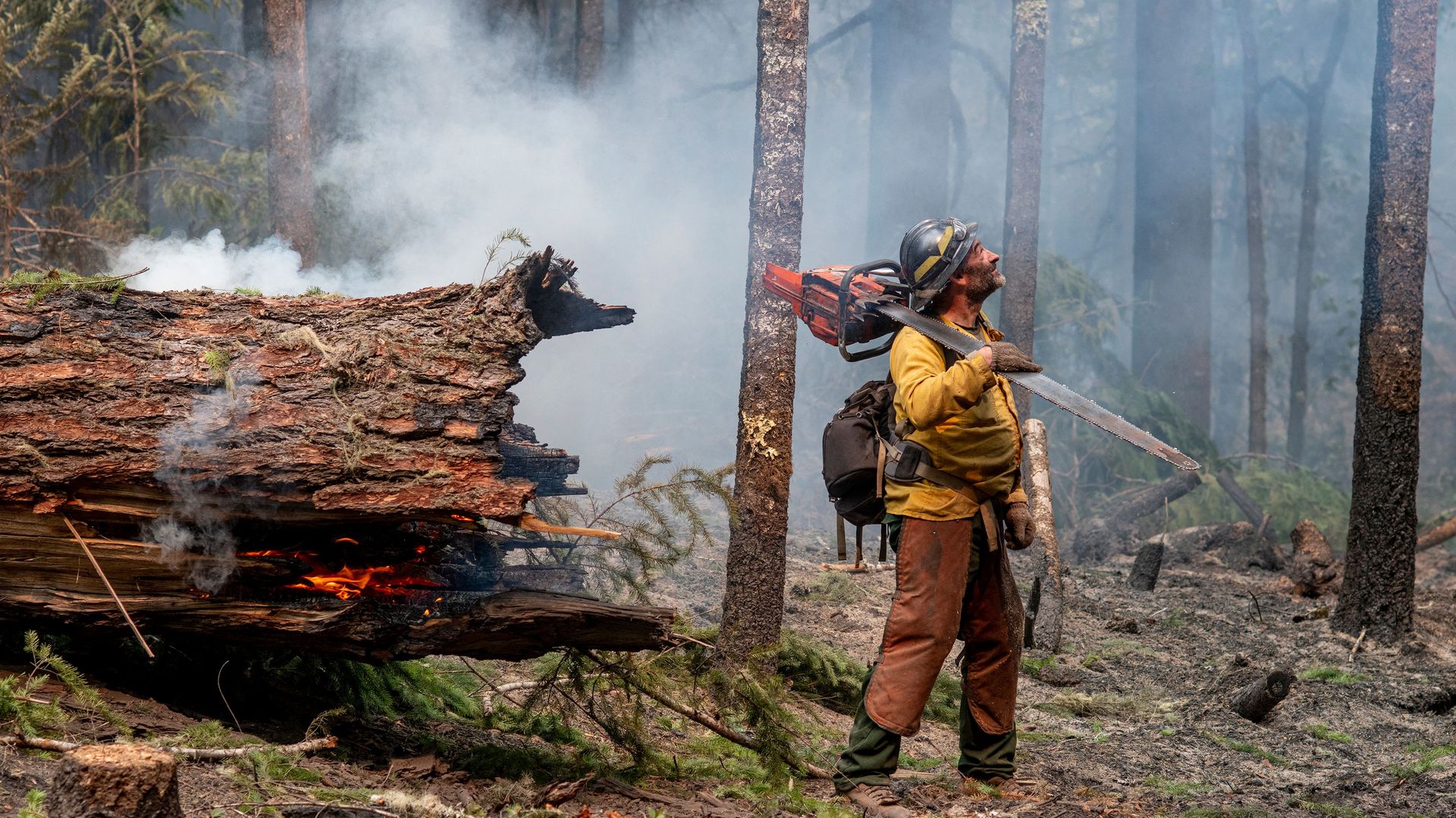 An image of a firefighter facing away from a fallen tree smoldering.