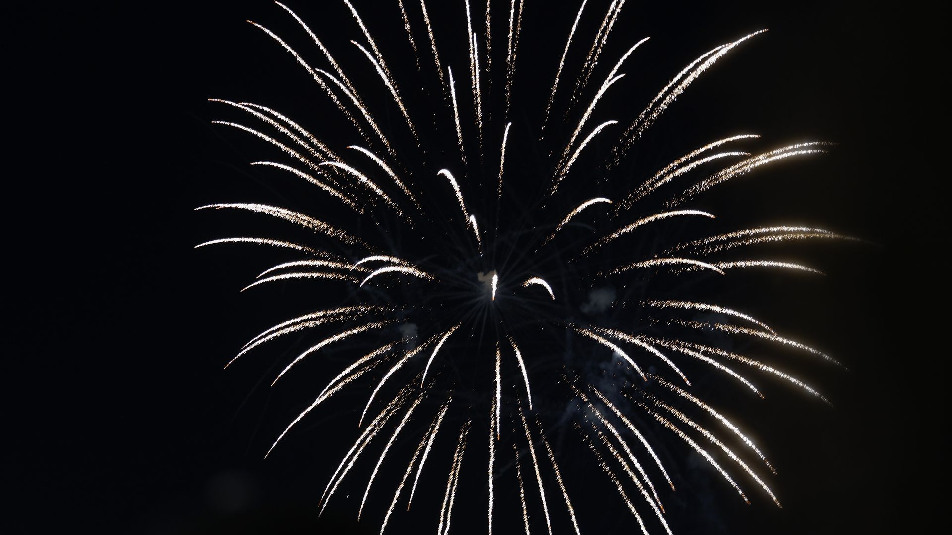 A single, white firework lights up a dark night sky.