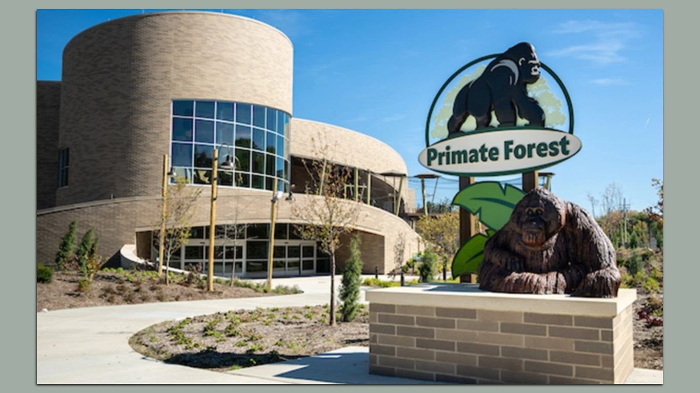Cleveland Zoo announces new Primate Forest opening date