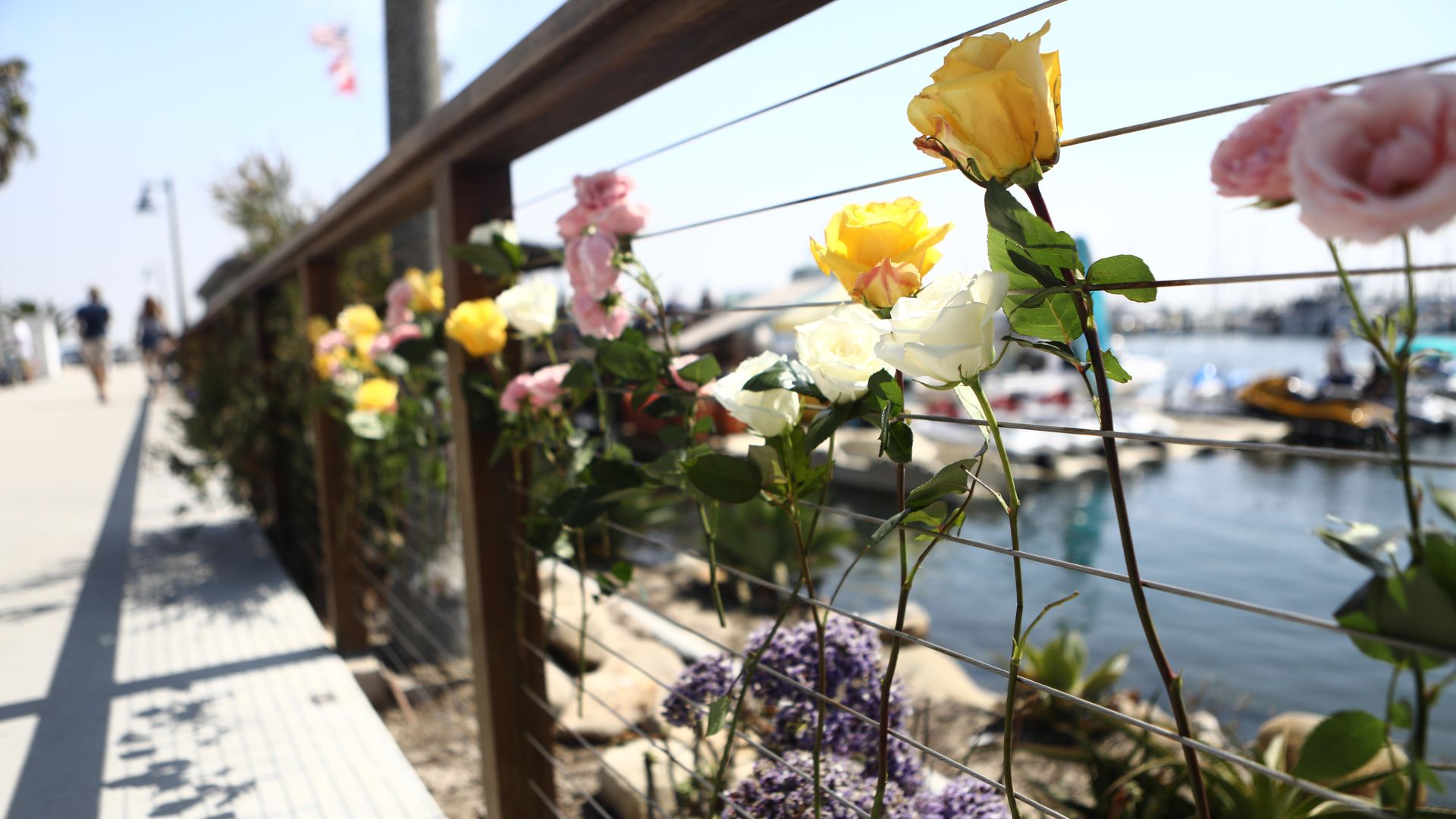 Flowers are left on a railway outside of Sea Landing, where a commercial scuba boat departed before catching fire, on September 2