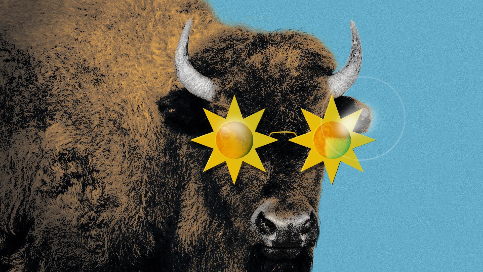 Illustration of a bison wearing sun-shaped sunglasses.