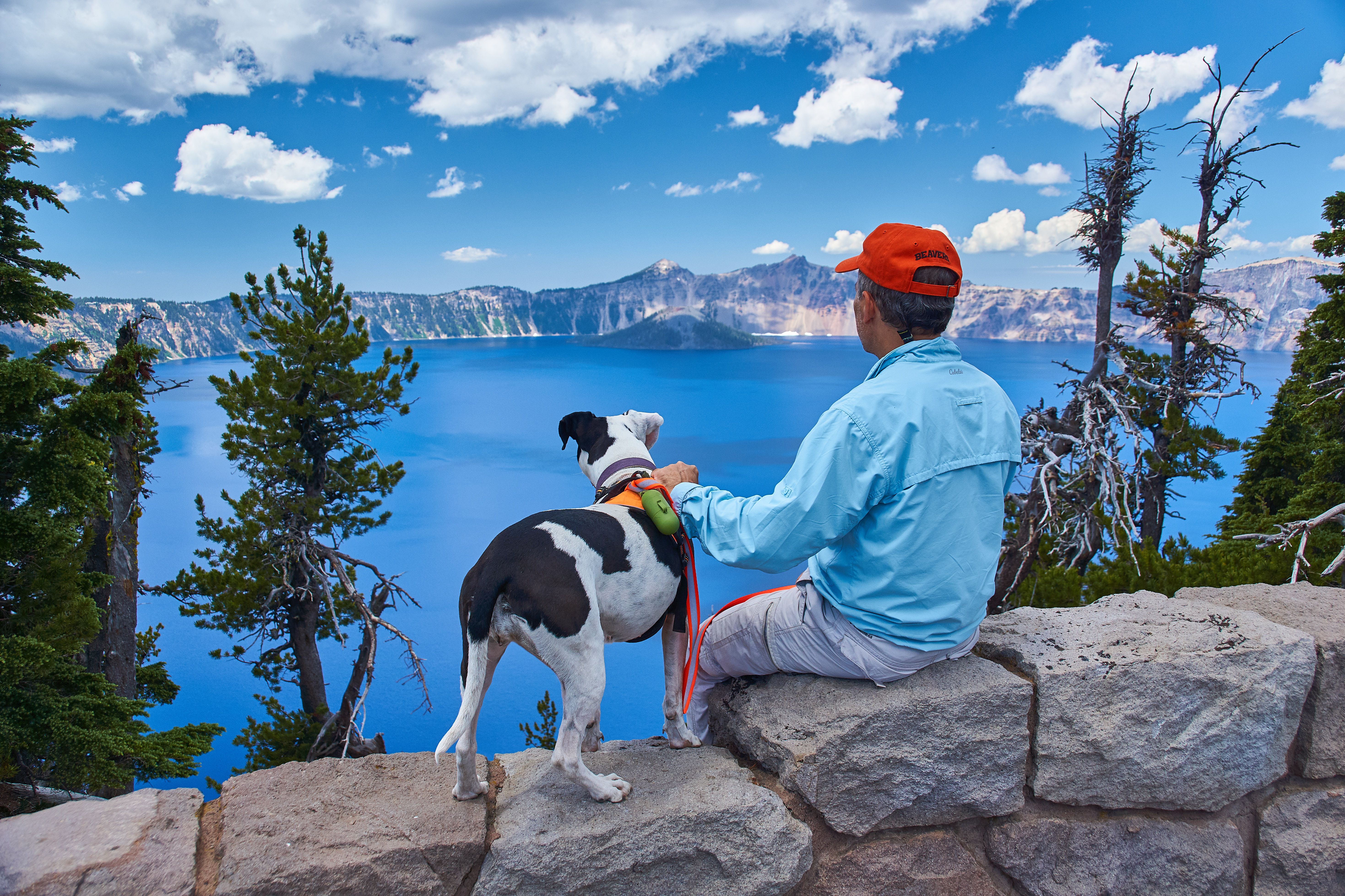 The back view of a dog and a man who are looking out to blue water
