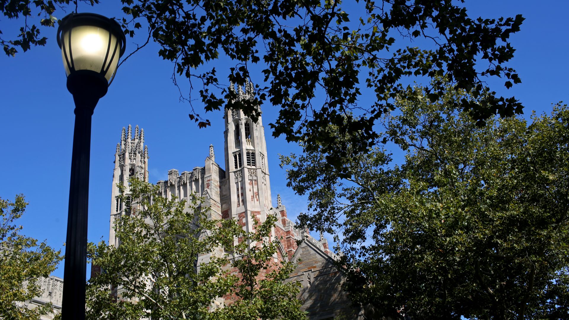 A Yale University building behind tree branches.