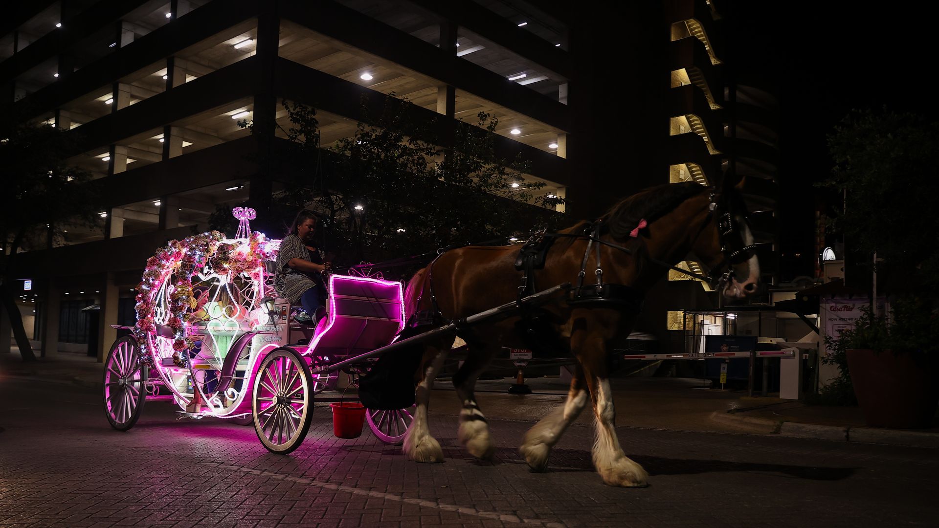 A horse pulls an illuminated carriage.