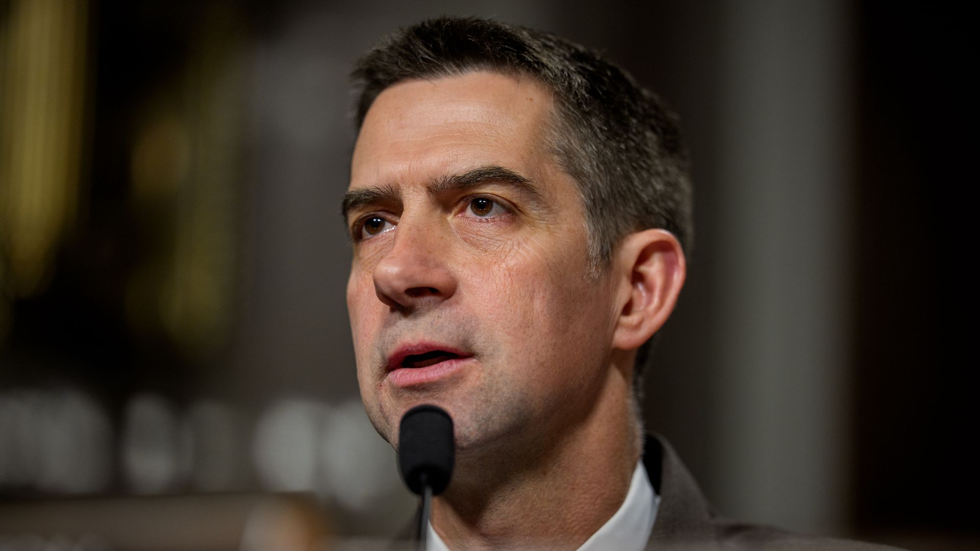 Tom Cotton, wearing a white collared shirt, speaks into a microphone during a Senate hearing.