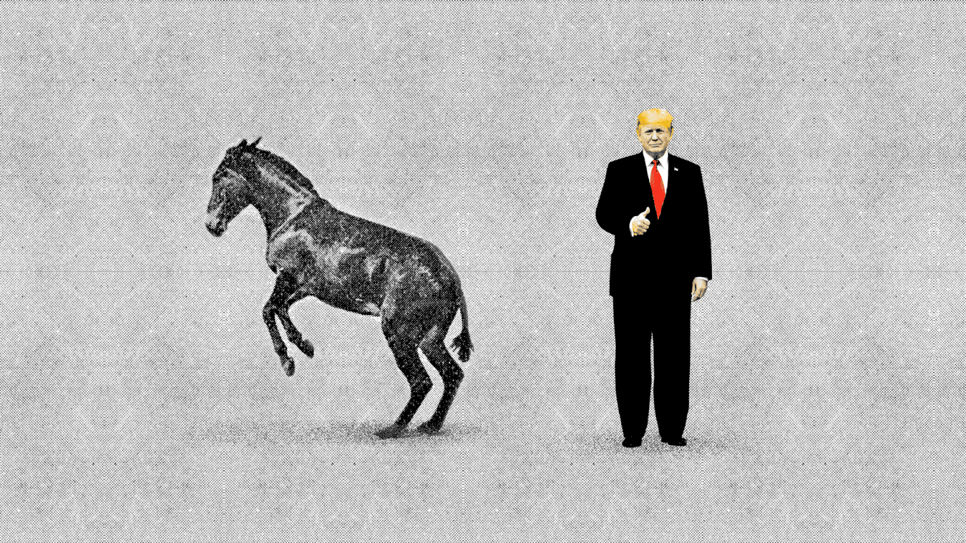 A donkey kicking with their hind legs just outside range of President Donald Trump