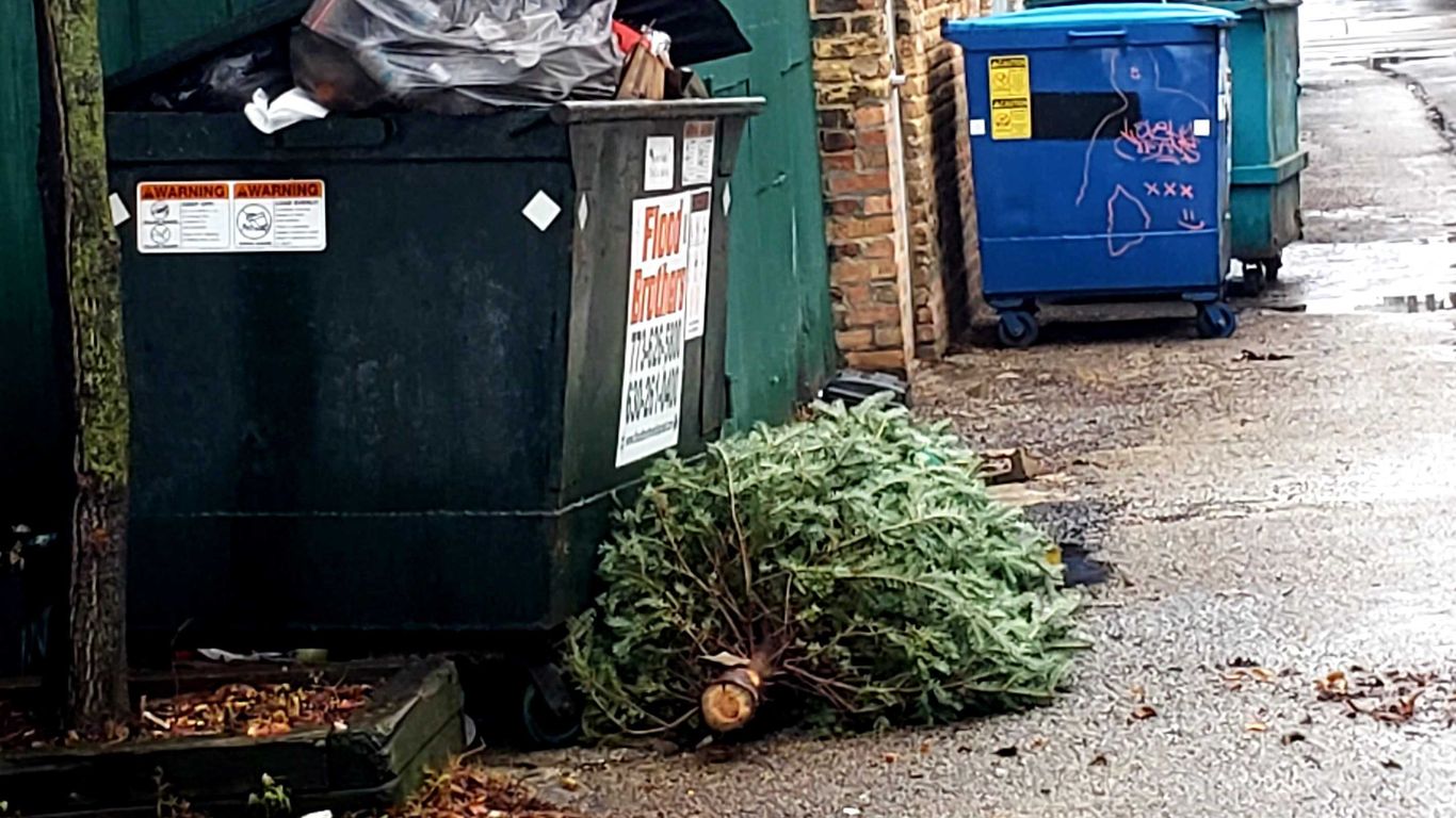 Christmas tree recycling in Chicago starts January 7 Axios Chicago