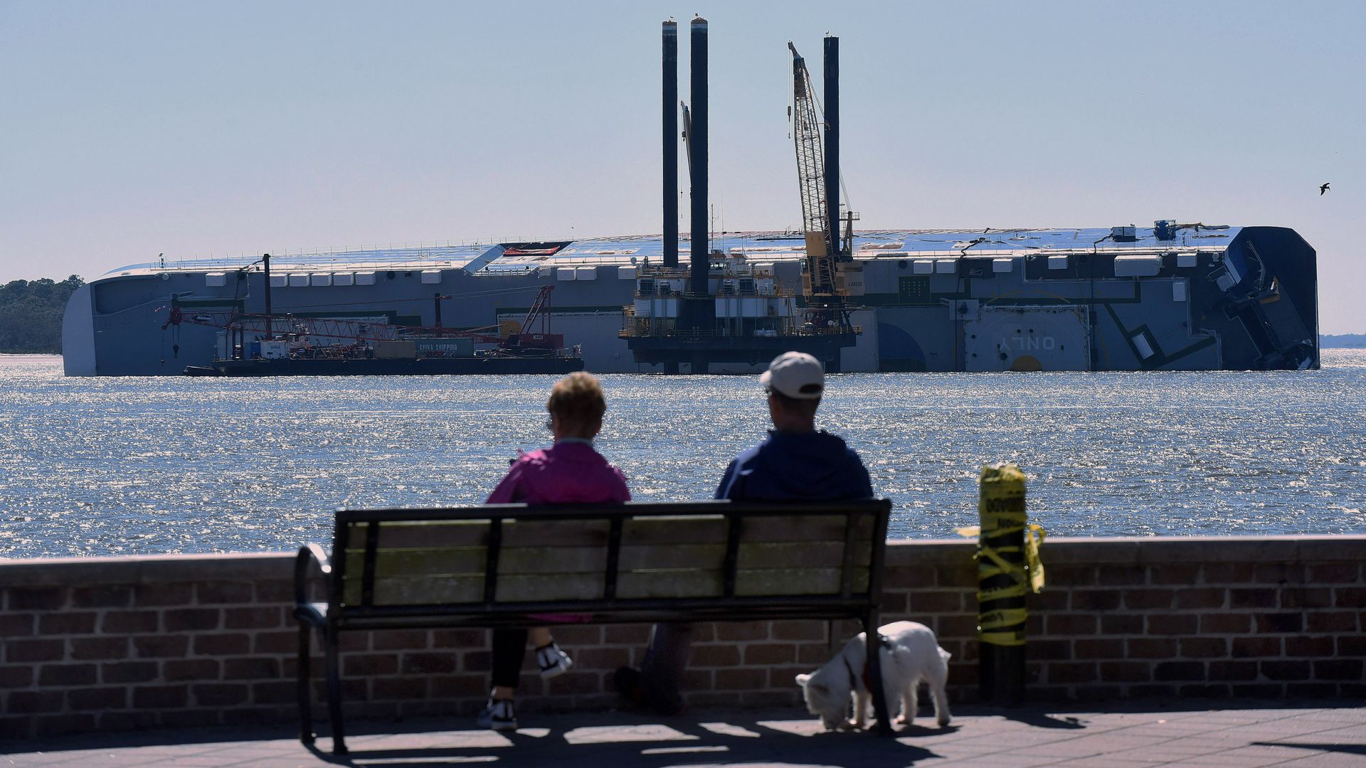 The Golden Ray ship wrecked off the coast of Georgia 