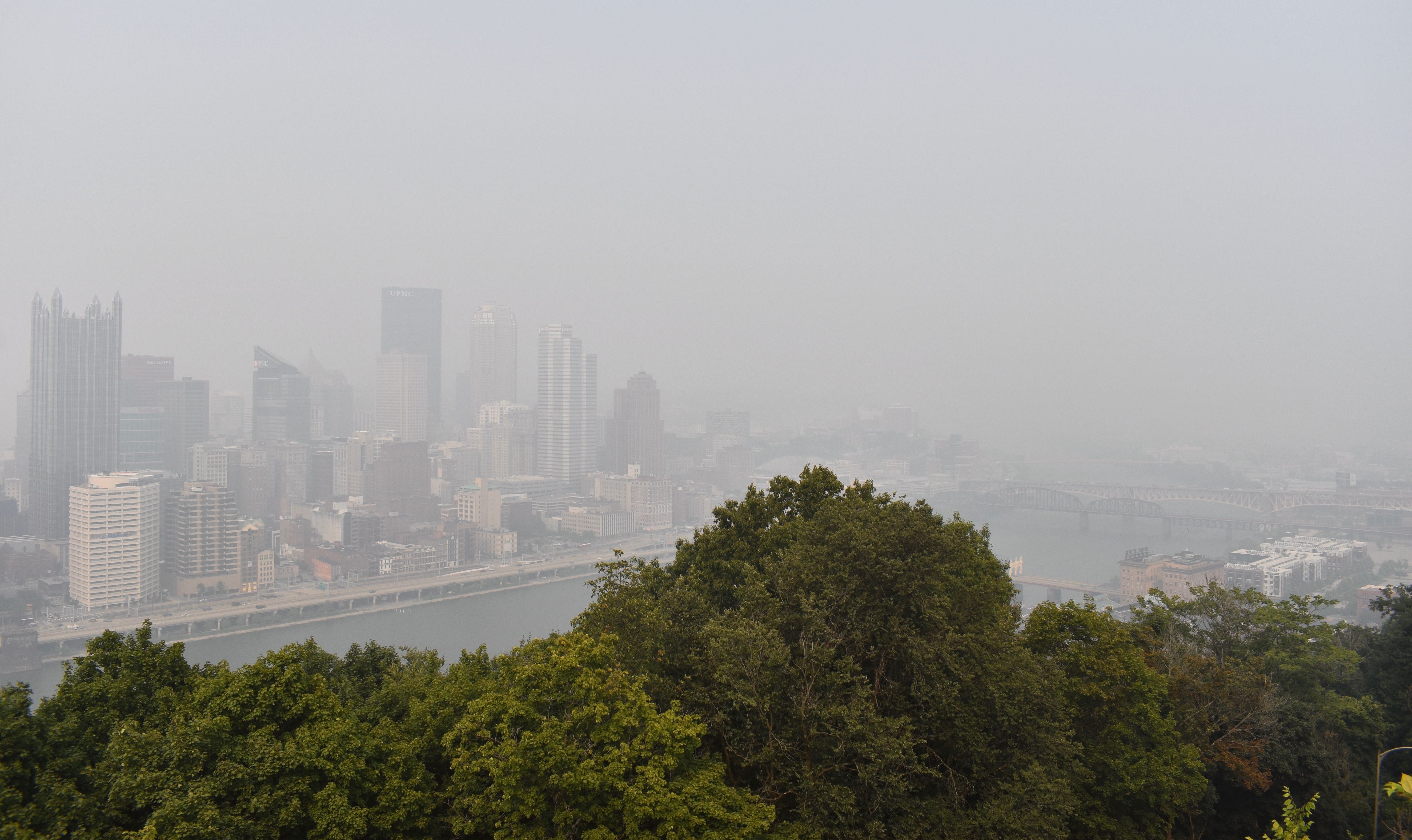 A hazy city skyline along a river: tall gray skyscrapers fade into fog, with a distant bridge and a dense line of green trees in the foreground.