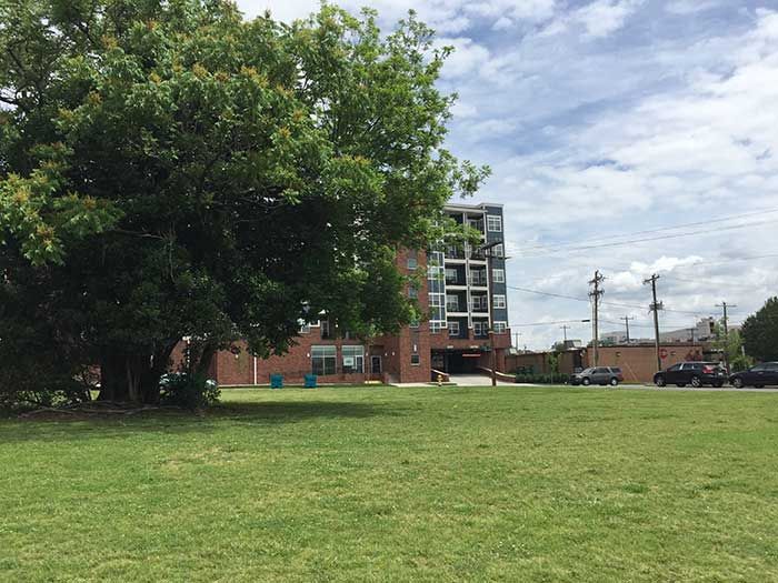 thursday-food-truck-rally