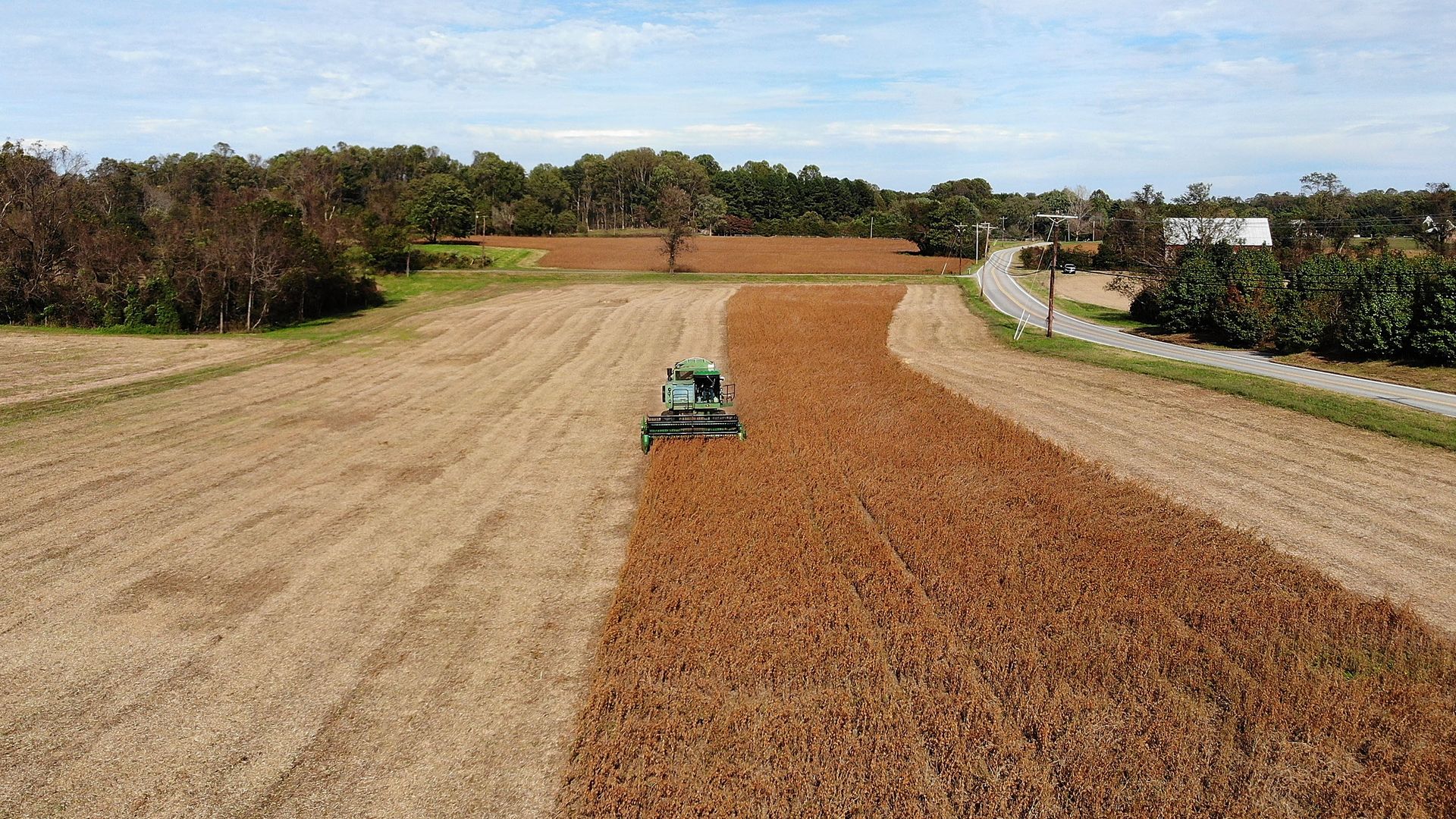 Tractor harvesting soybeans