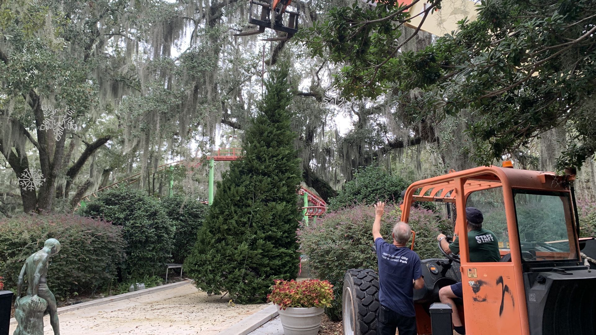 A Christmas tree dangles from the end of a piece of construction equipment as it's placed on the ground.