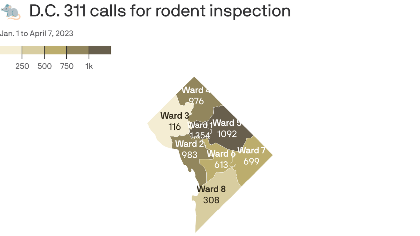 D.C.’s rat problem might have gotten worse