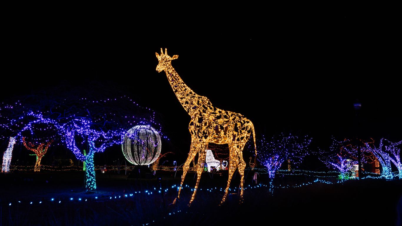 Five holiday light displays to visit in Metro Detroit in 2023 - Axios ...