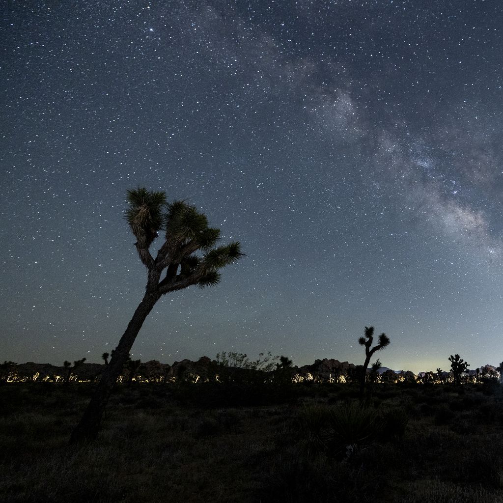 ボブ・ディランStars from the Darkest Night 2CD Discover Colorado's Dark Sky Places in National Parks and More