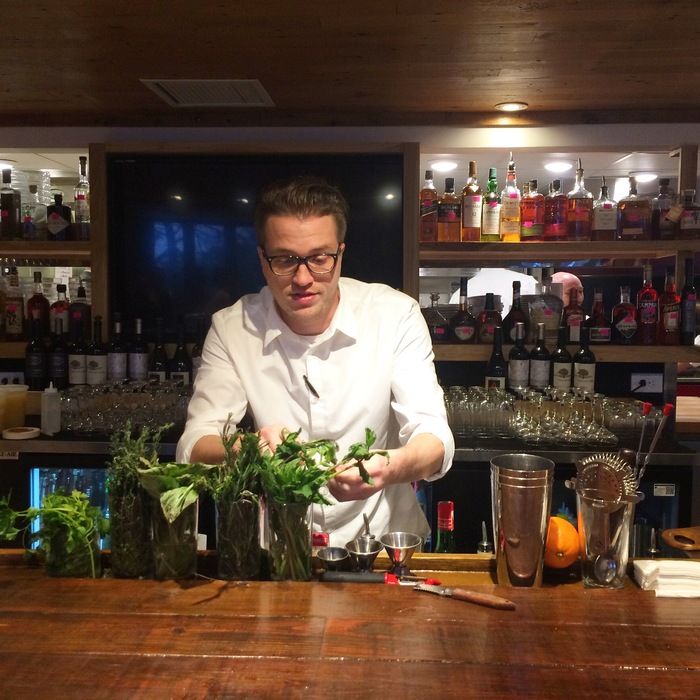 kid cashew bar herbs