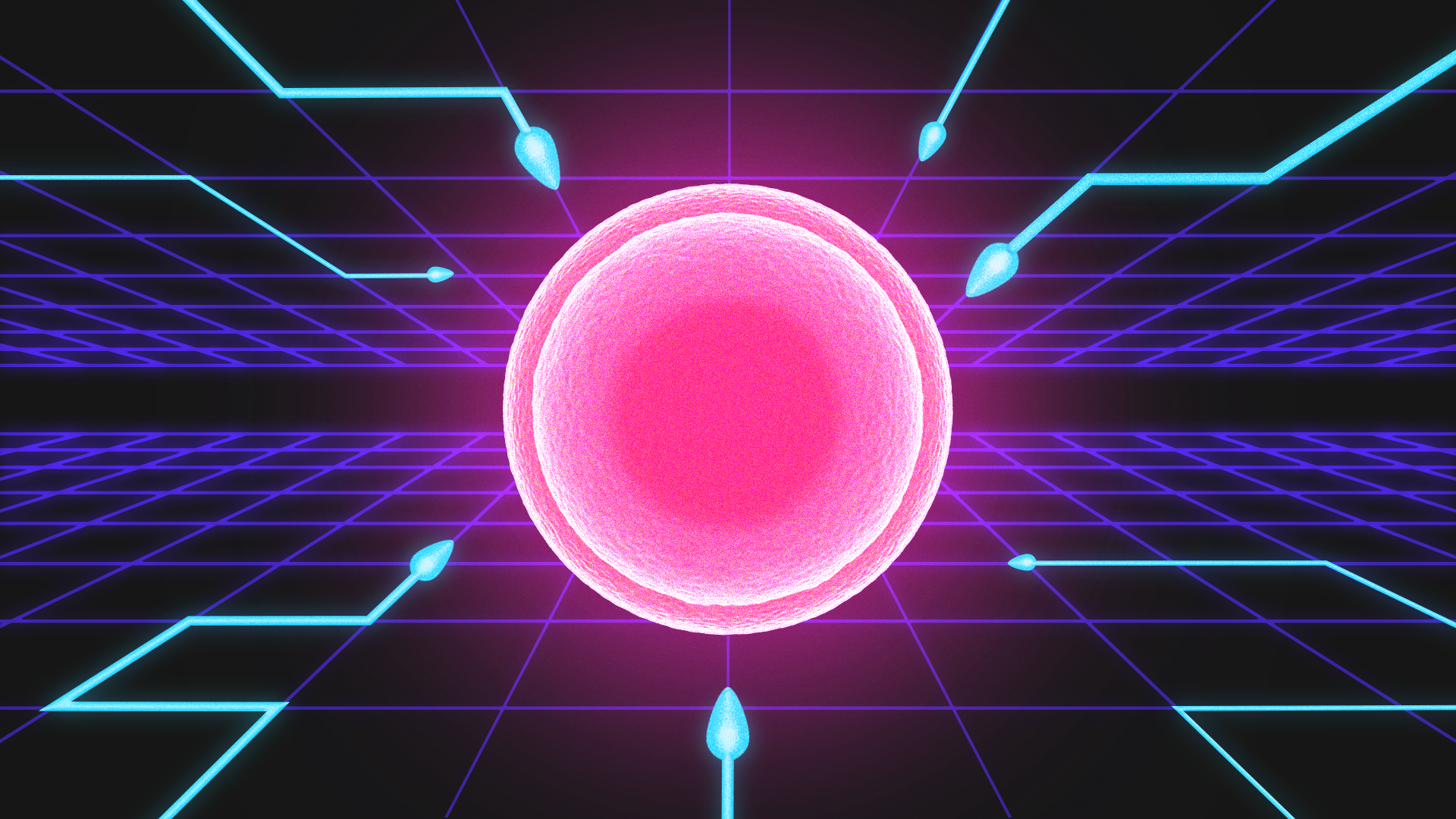 Illustration of egg and sperm