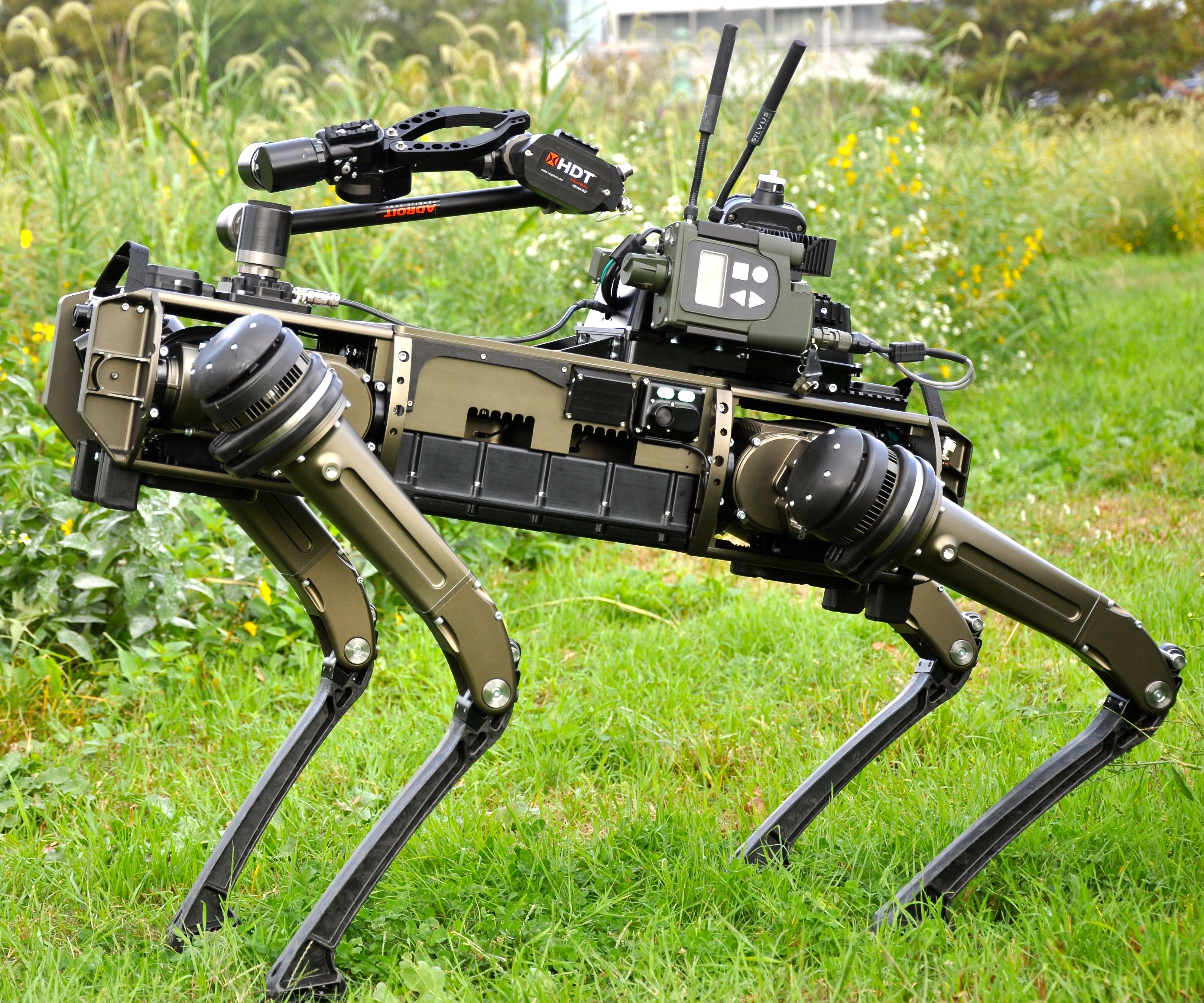 army robot dog