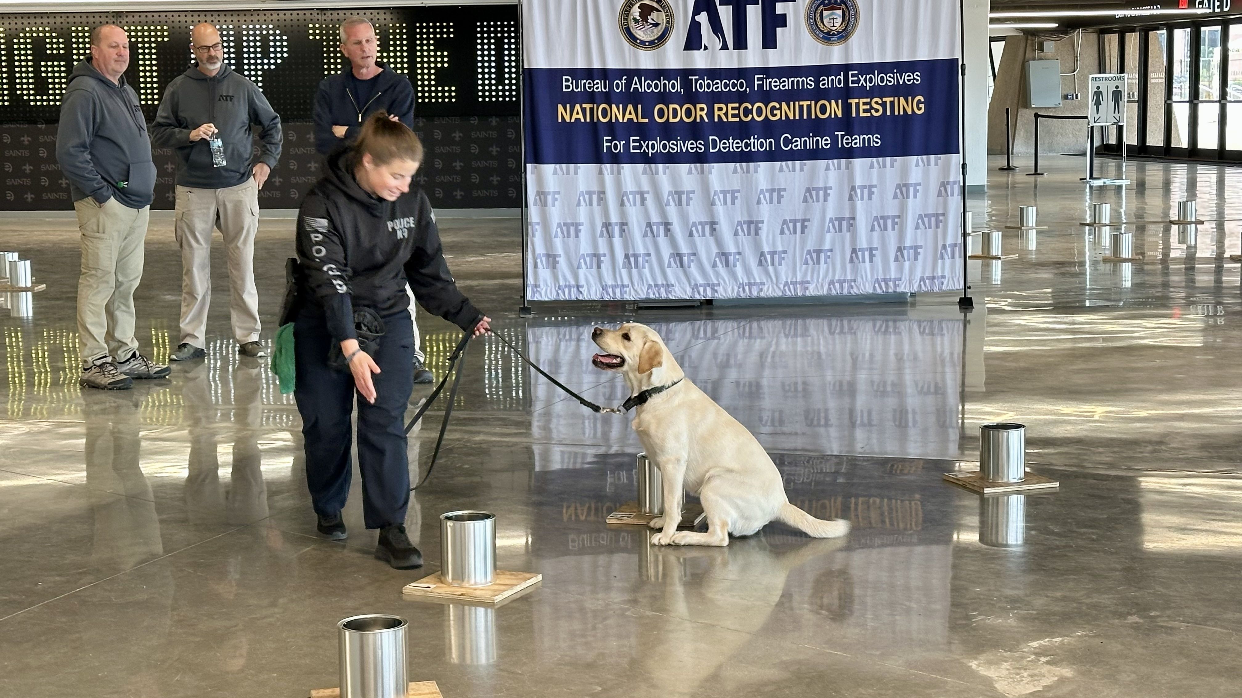 ATF odor recognition testing scene: a yellow Labrador sits on a glossy floor, harnessed and leashed by a handler, while three officials watch near a blue ATF banner.