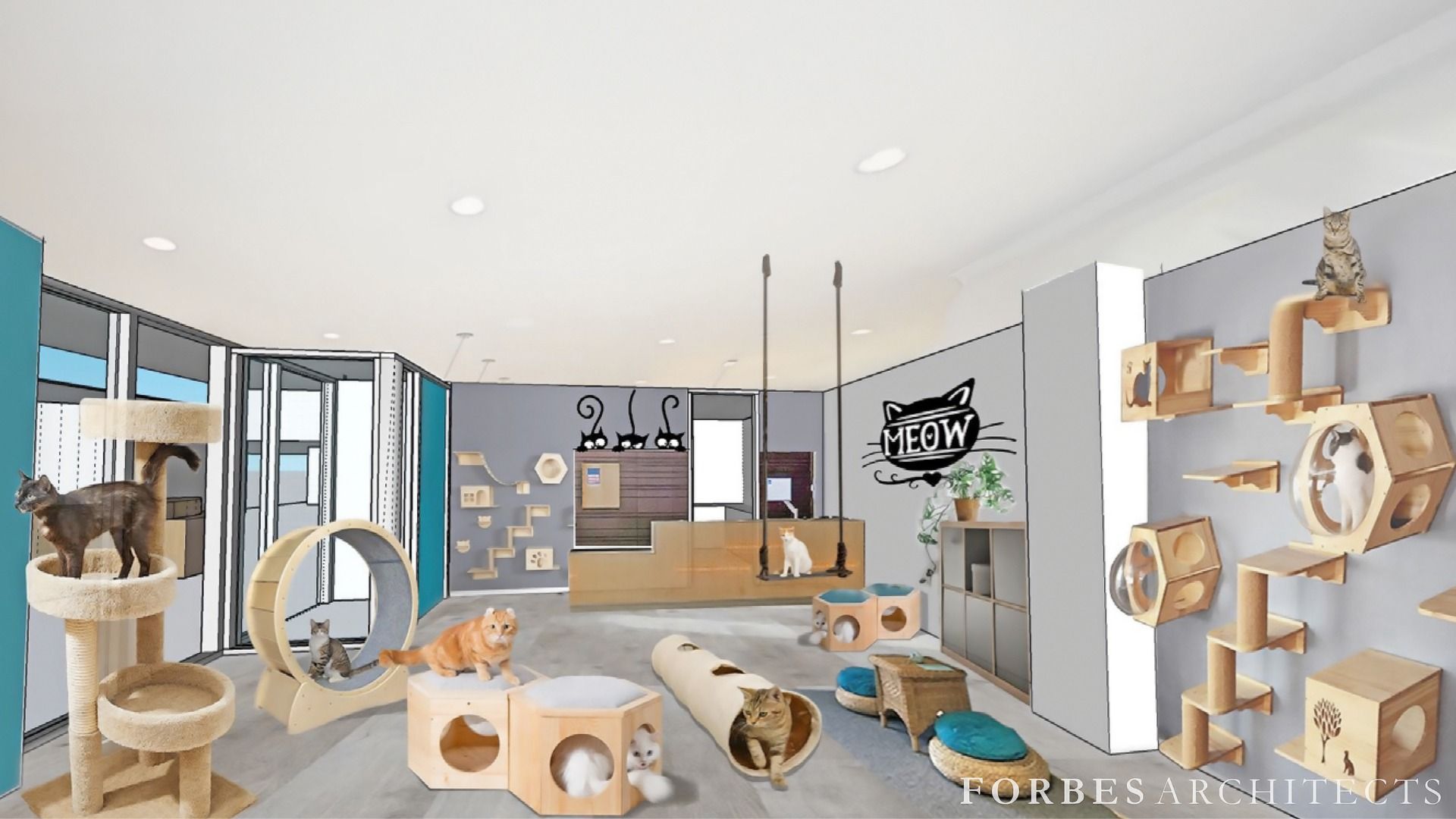 A rendering of the planned catio at South Dade Regional Library