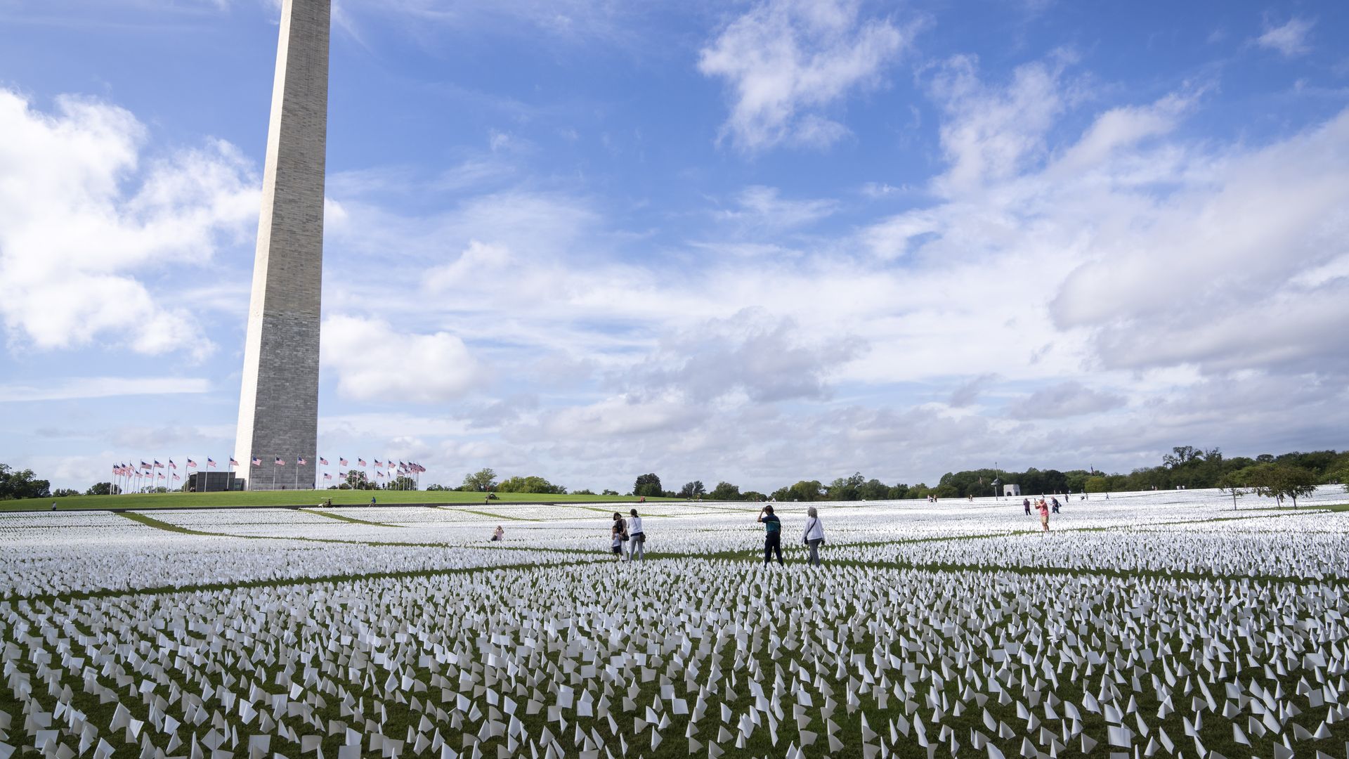 Photo of the Washington Monument towering over a green field with thousands of small white flags propped in the grass