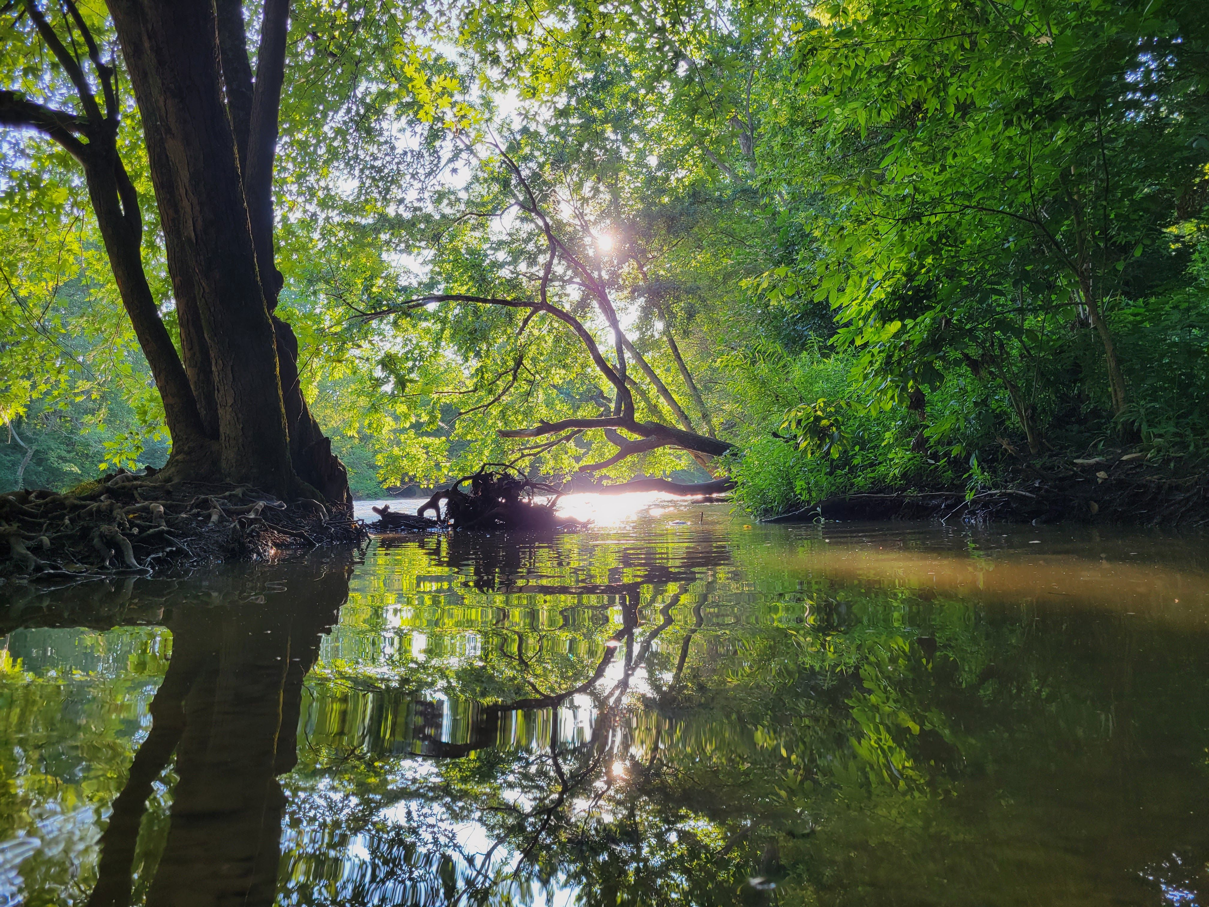 A sunset over the Olentangy River.