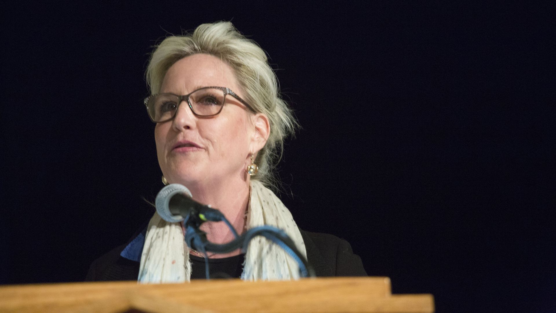 Erin Brockovich at a podium