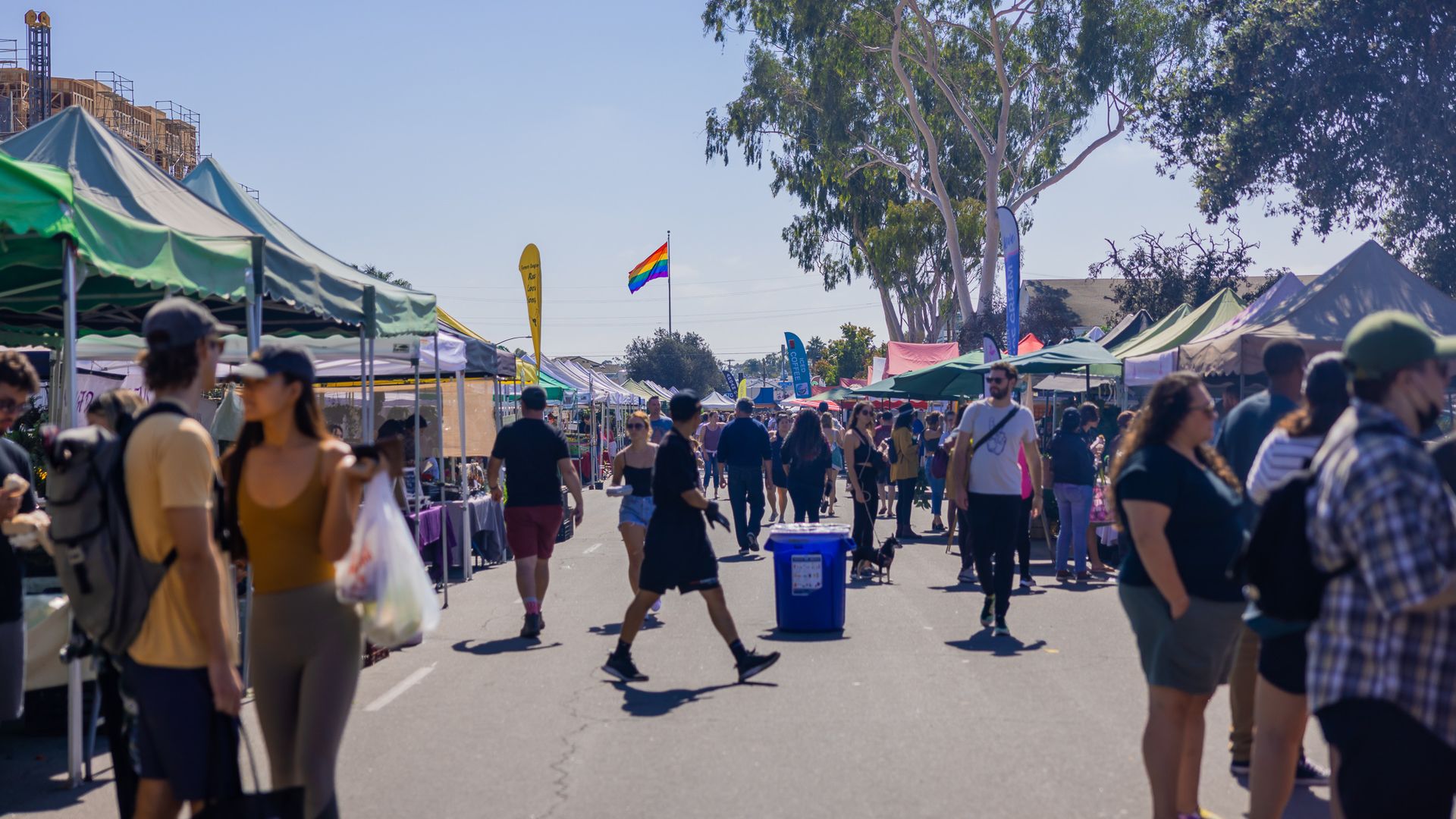 A crowd of people walk through a farmer's market.
