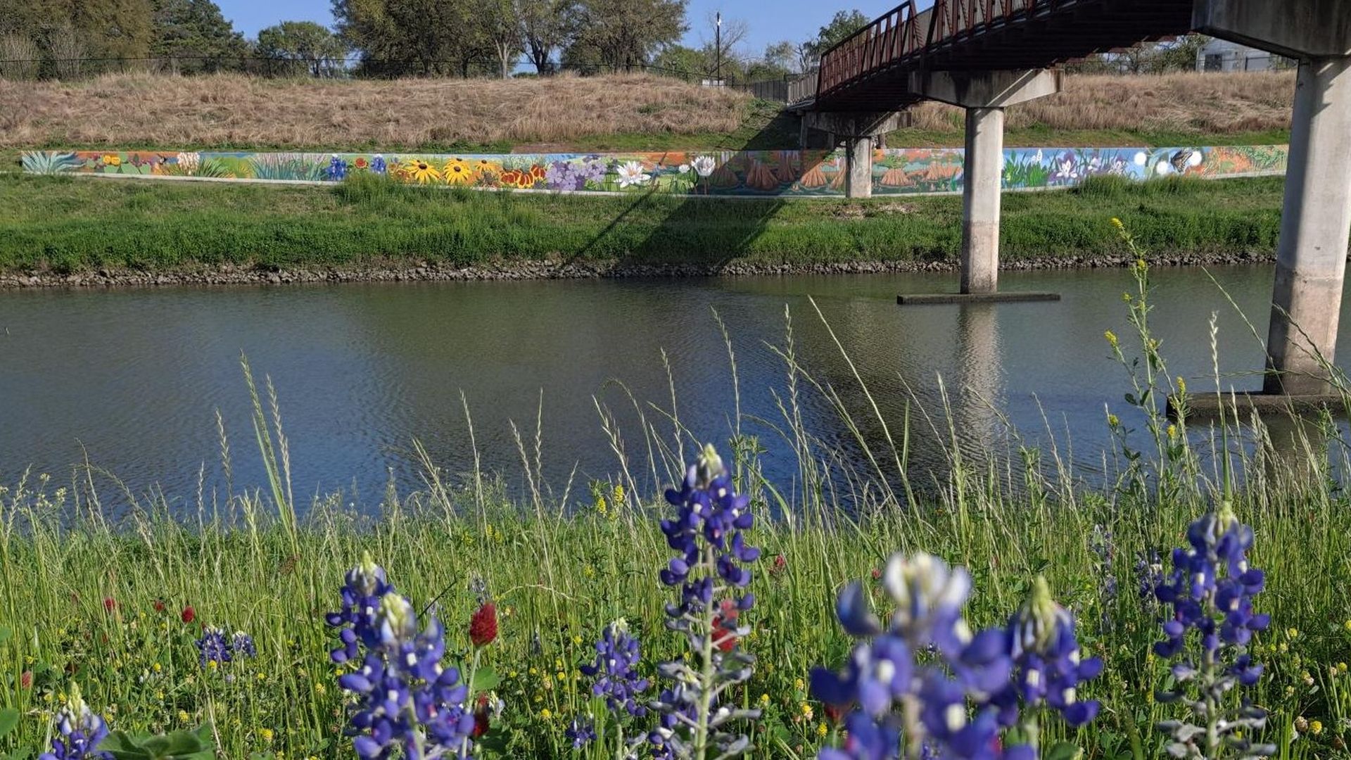 Photo of mural of wildflowers along the bayou