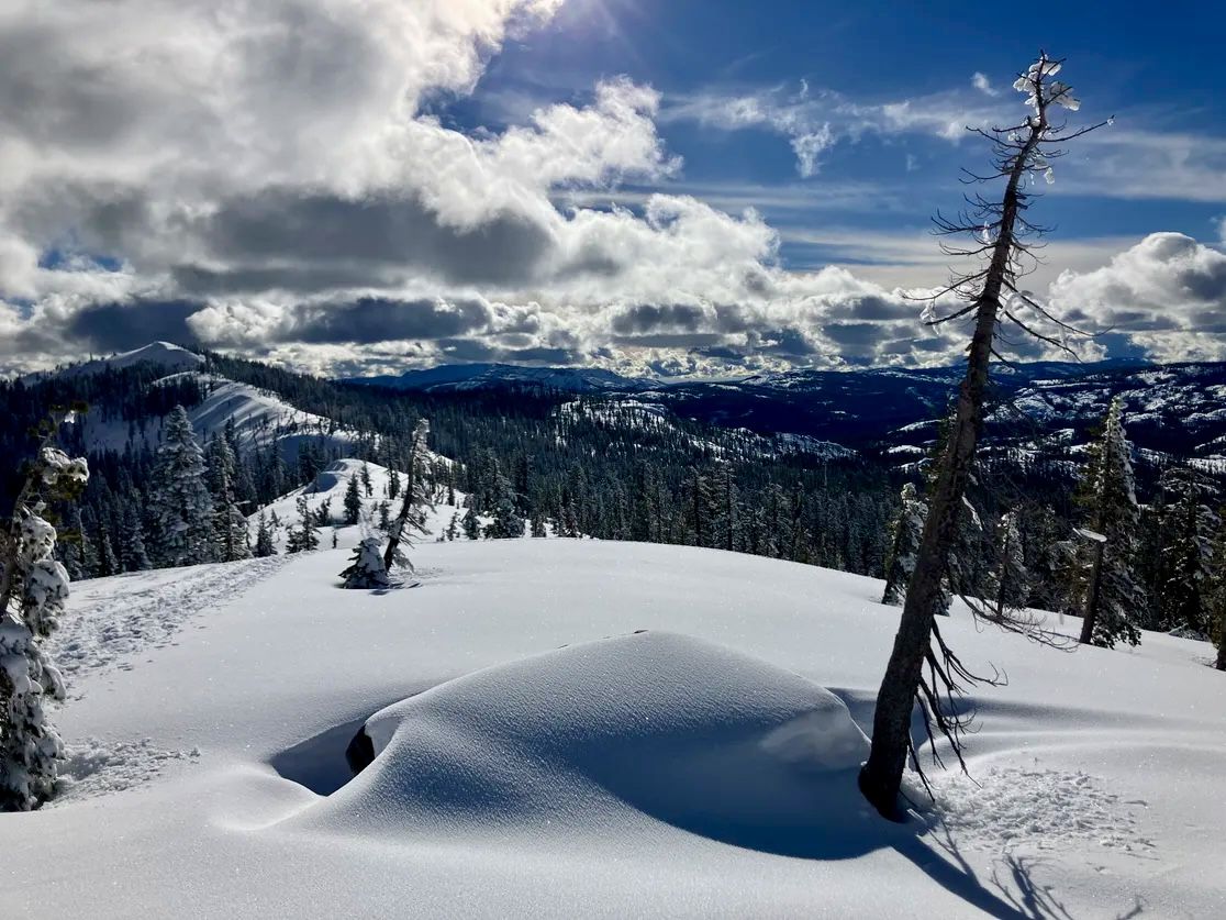Snowy landscape with trees and mountains and a blue sky