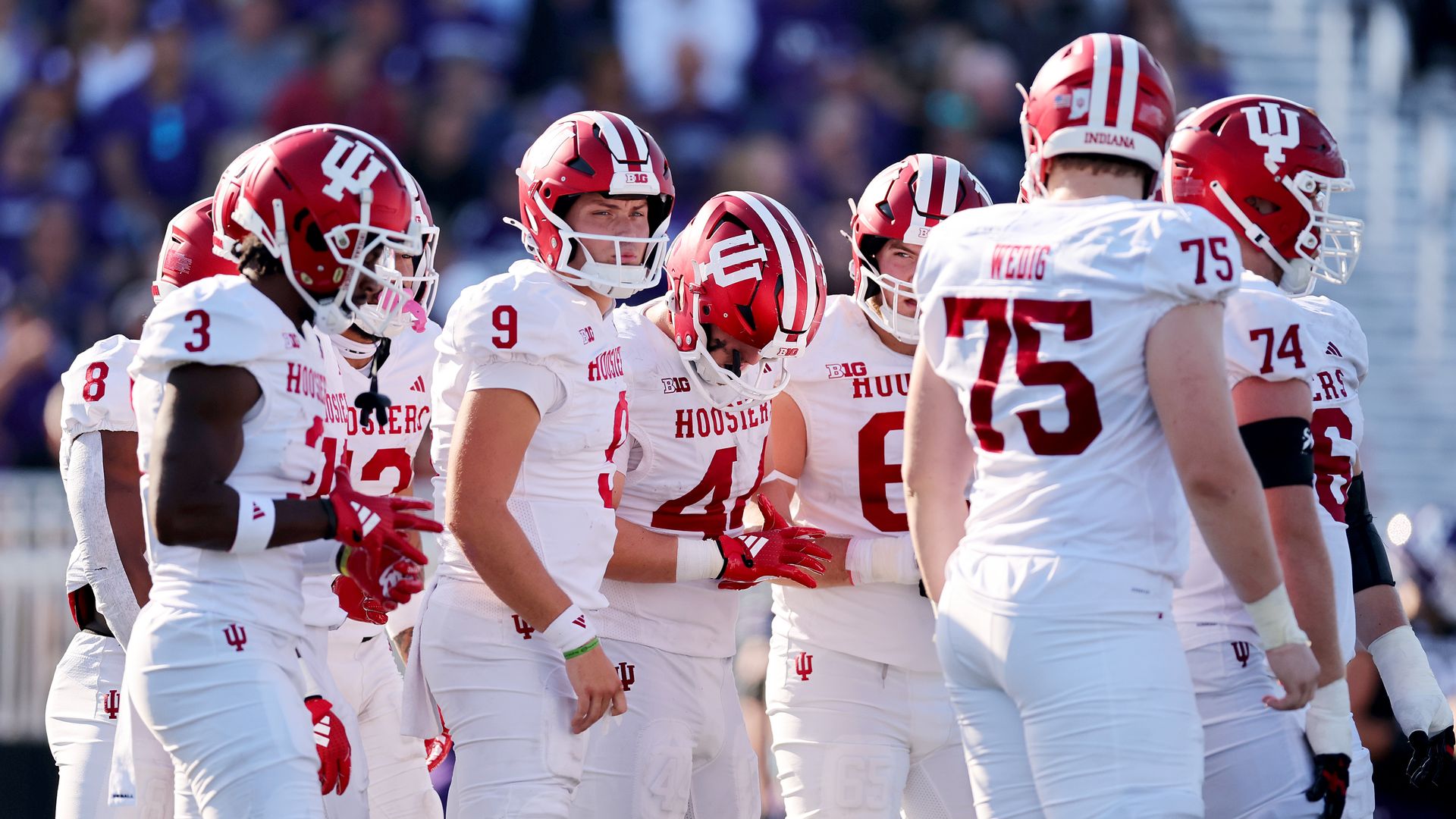 Kurtis Rourke #9 of the Indiana Hoosiers looks on from the huddle against the Northwestern Wildcats during the first half at Martin Stadium on October 05, 2024 in Evanston, Illinois. 