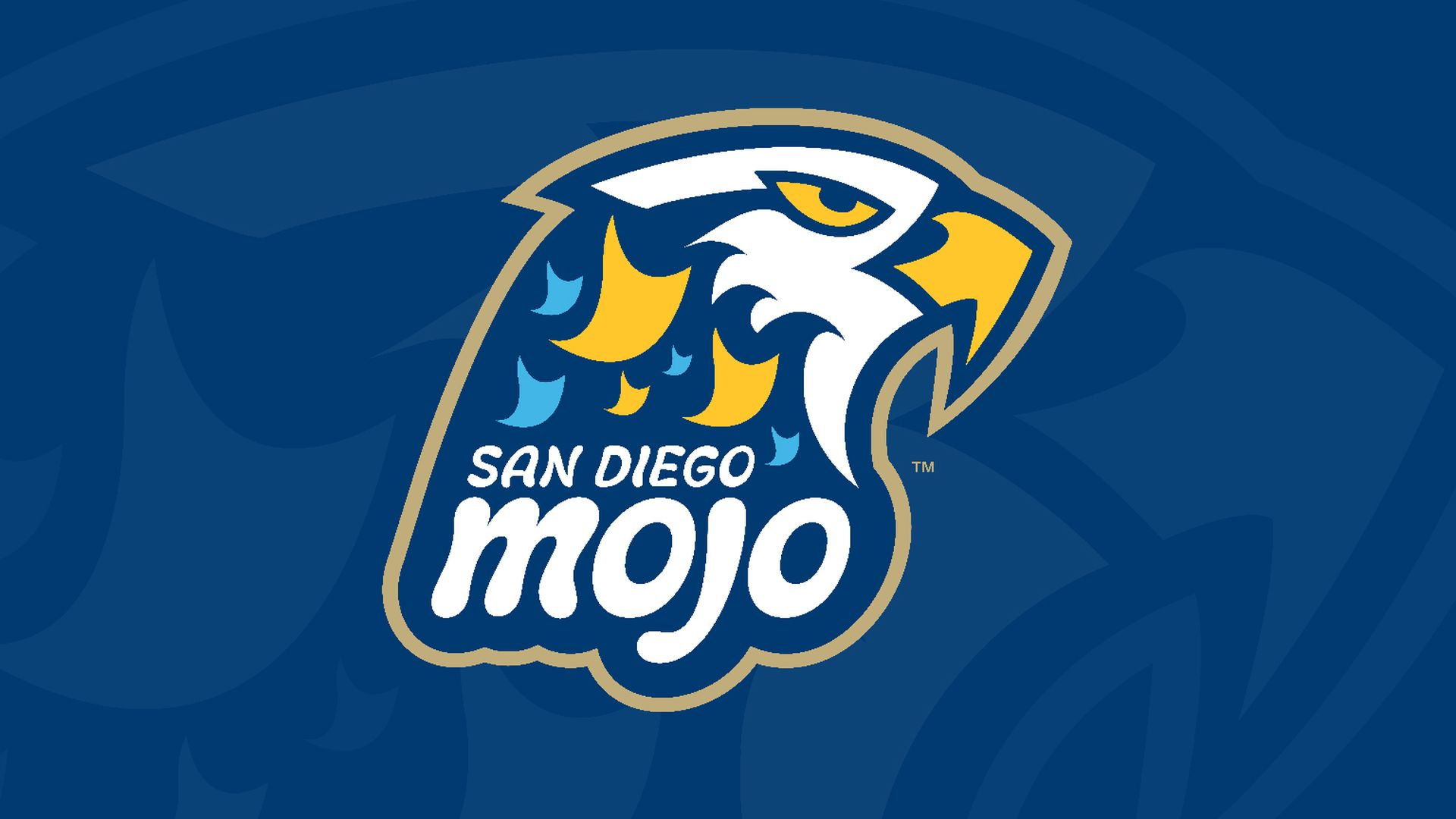 San Diego Mojo, a new pro volleyball team, will play at Viejas Arena ...