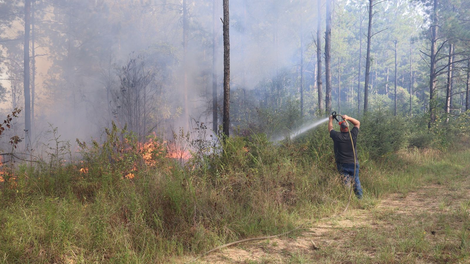 Louisiana wildfires kill 2, burn thousands of acres Axios New Orleans