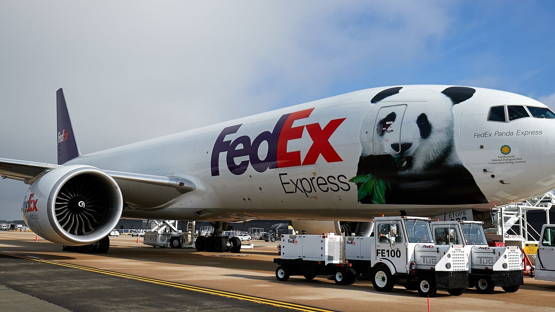 A giant plane that says FedEx Express, with a decal of a panda chewing bamboo.