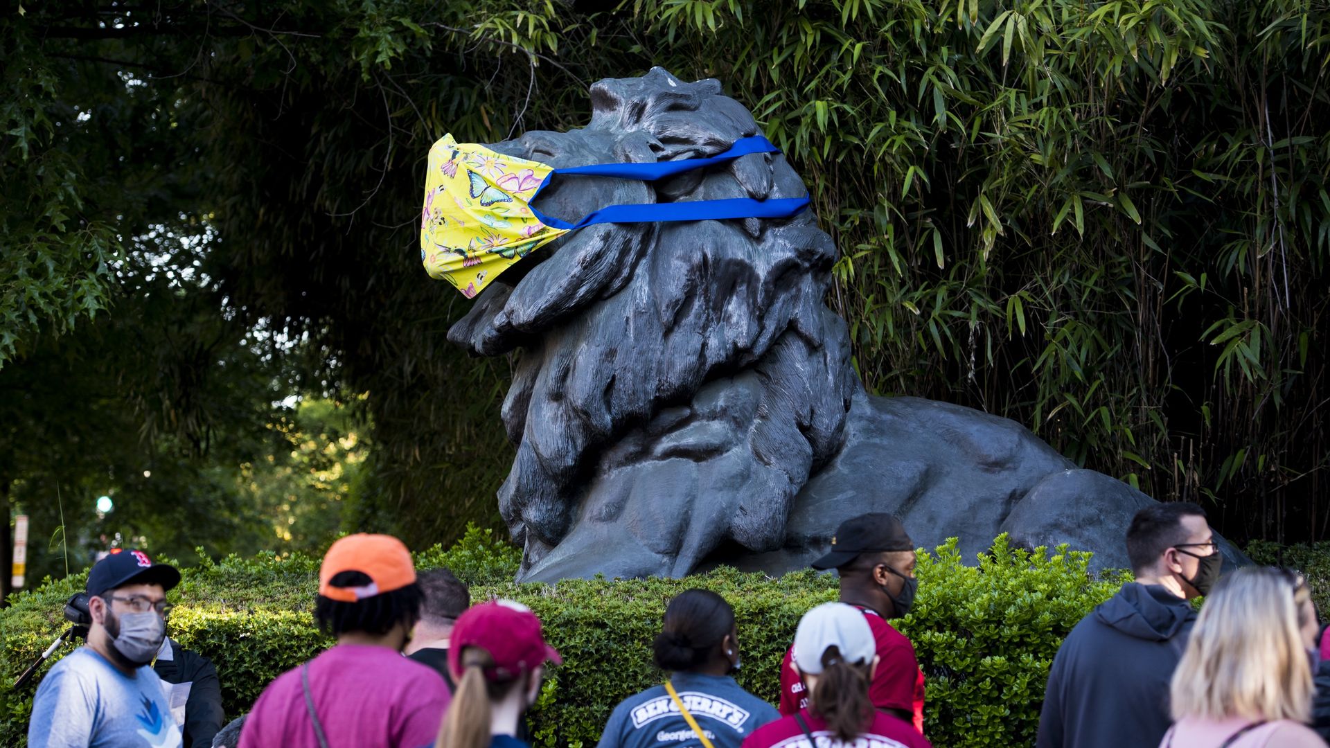 A giant lion statue with a mask over its mouth. People stand in front looking at the statue. 