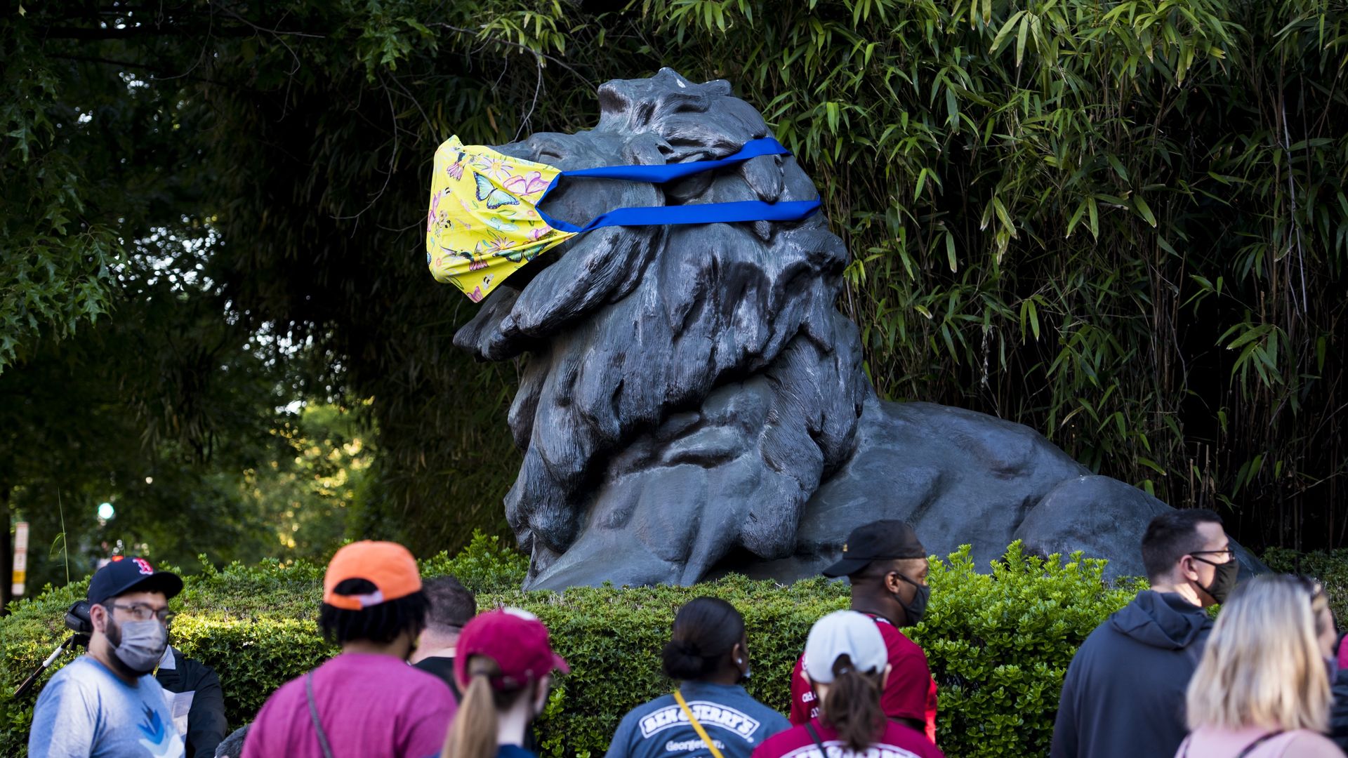 A giant lion statue with a mask over its mouth. People stand in front looking at the statue.