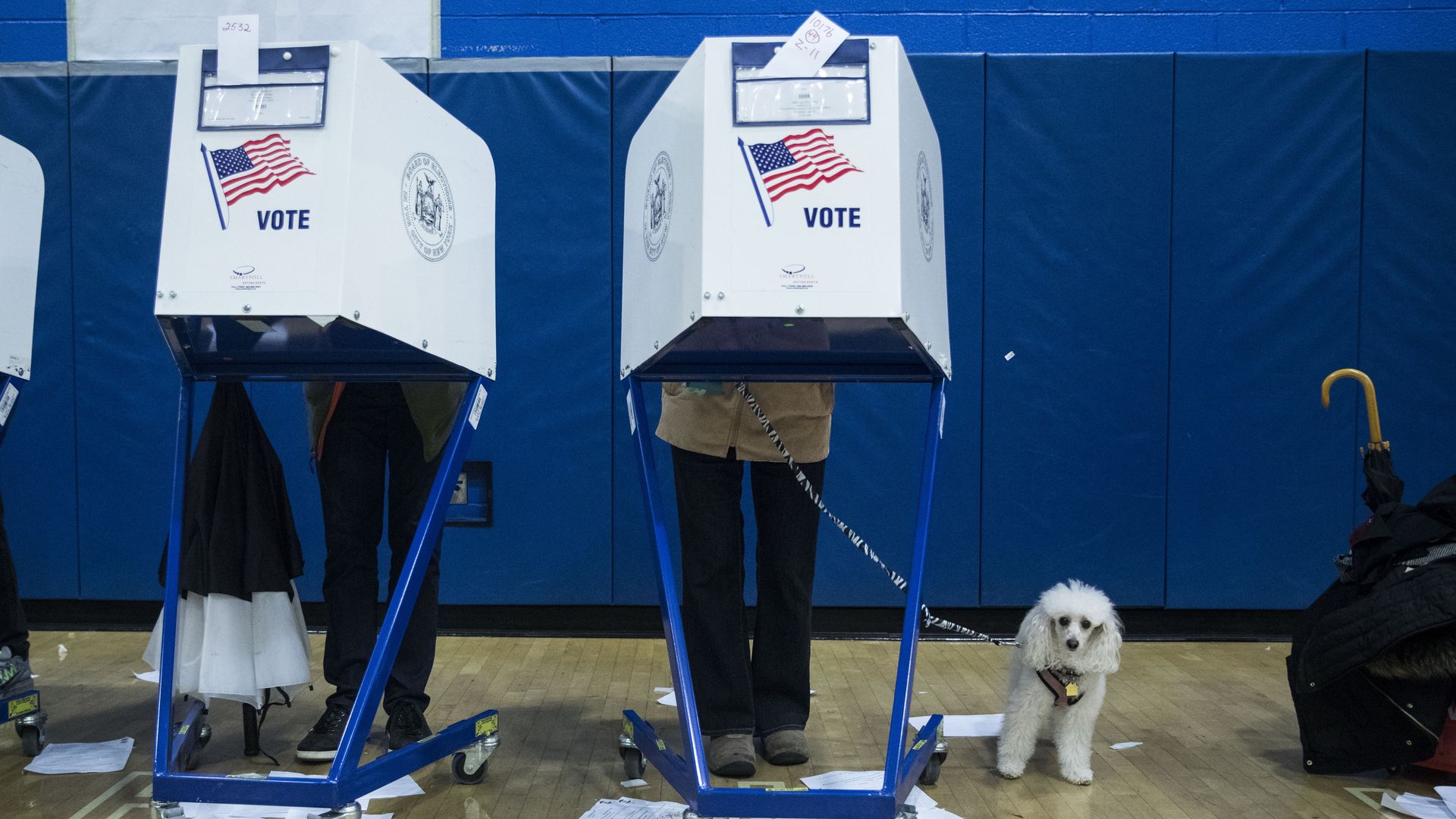 people voting in a gym