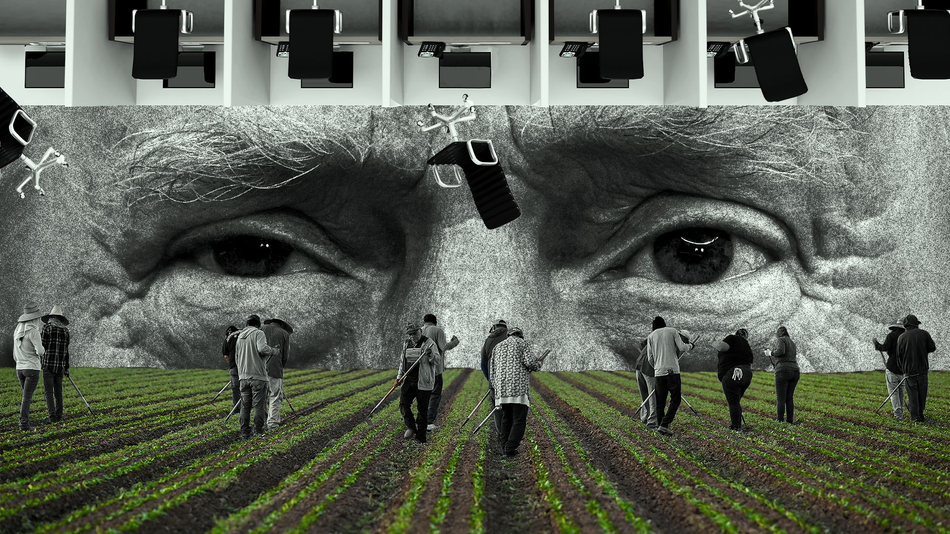 Photo illustration collage of a group of migrant farm workers underneath a split view of a line of cubicles with office chairs falling down. Between the office and farm view is a close up image of President Donald Trump. 