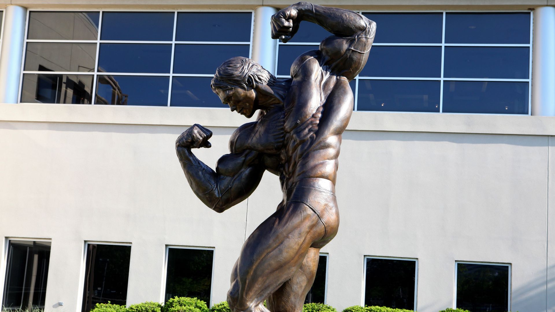 A statue of Arnold Schwarzenegger flexing. 