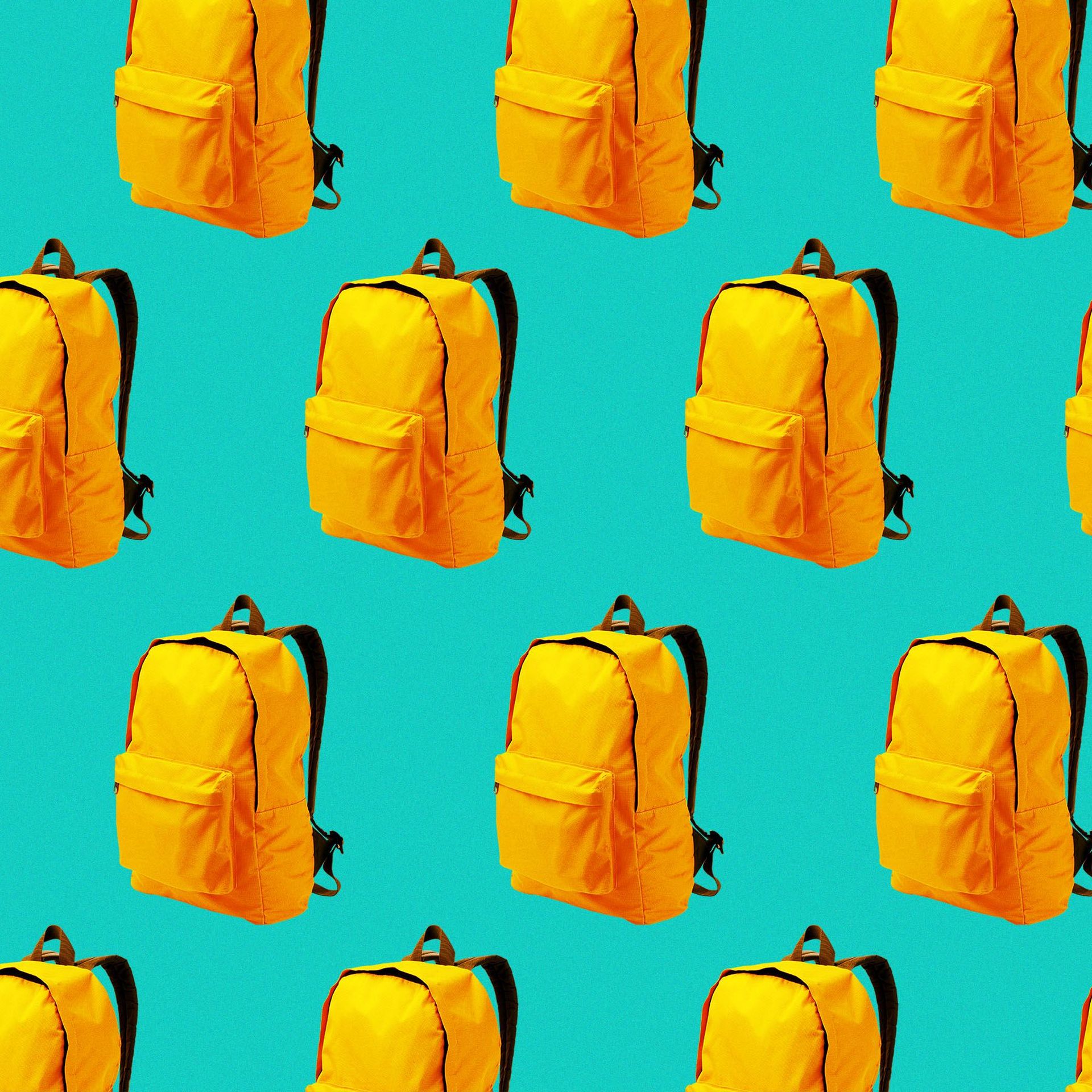 Illustration of a pattern for backpacks.