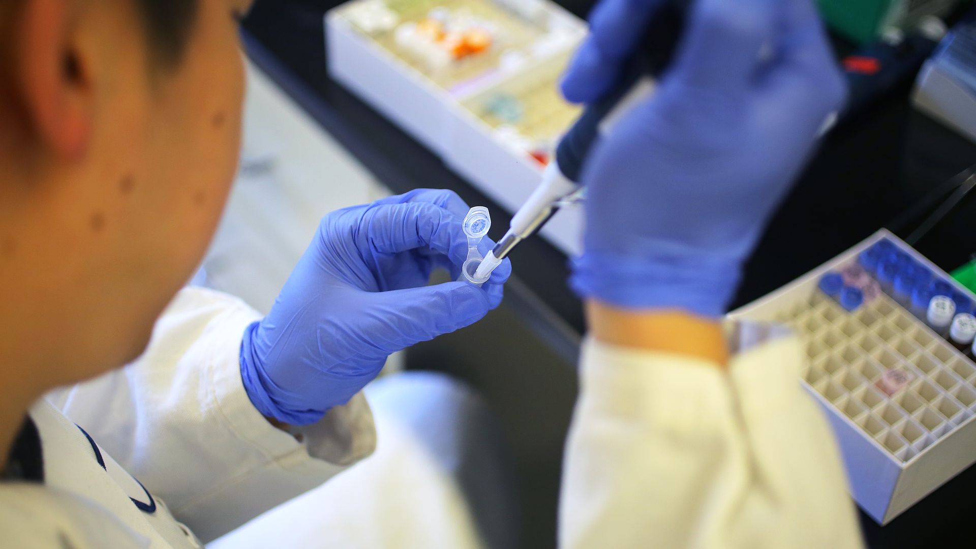 Senior scientist Zhou Han sets up a quantitative PCR (polymerase chain reaction) to check the effect of a drug in cell assays at Stoke Therapeutics.