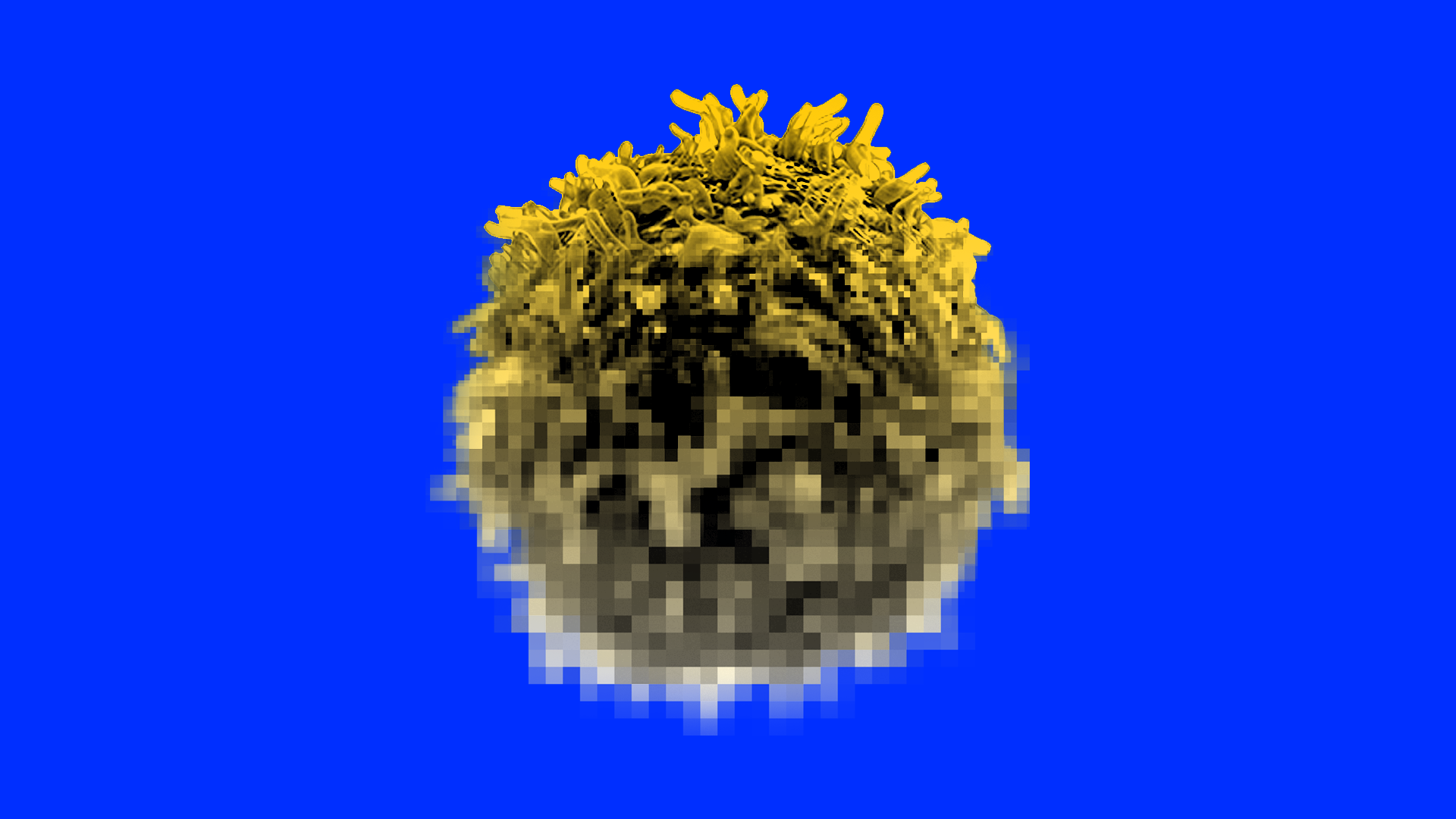 A cancer cell
