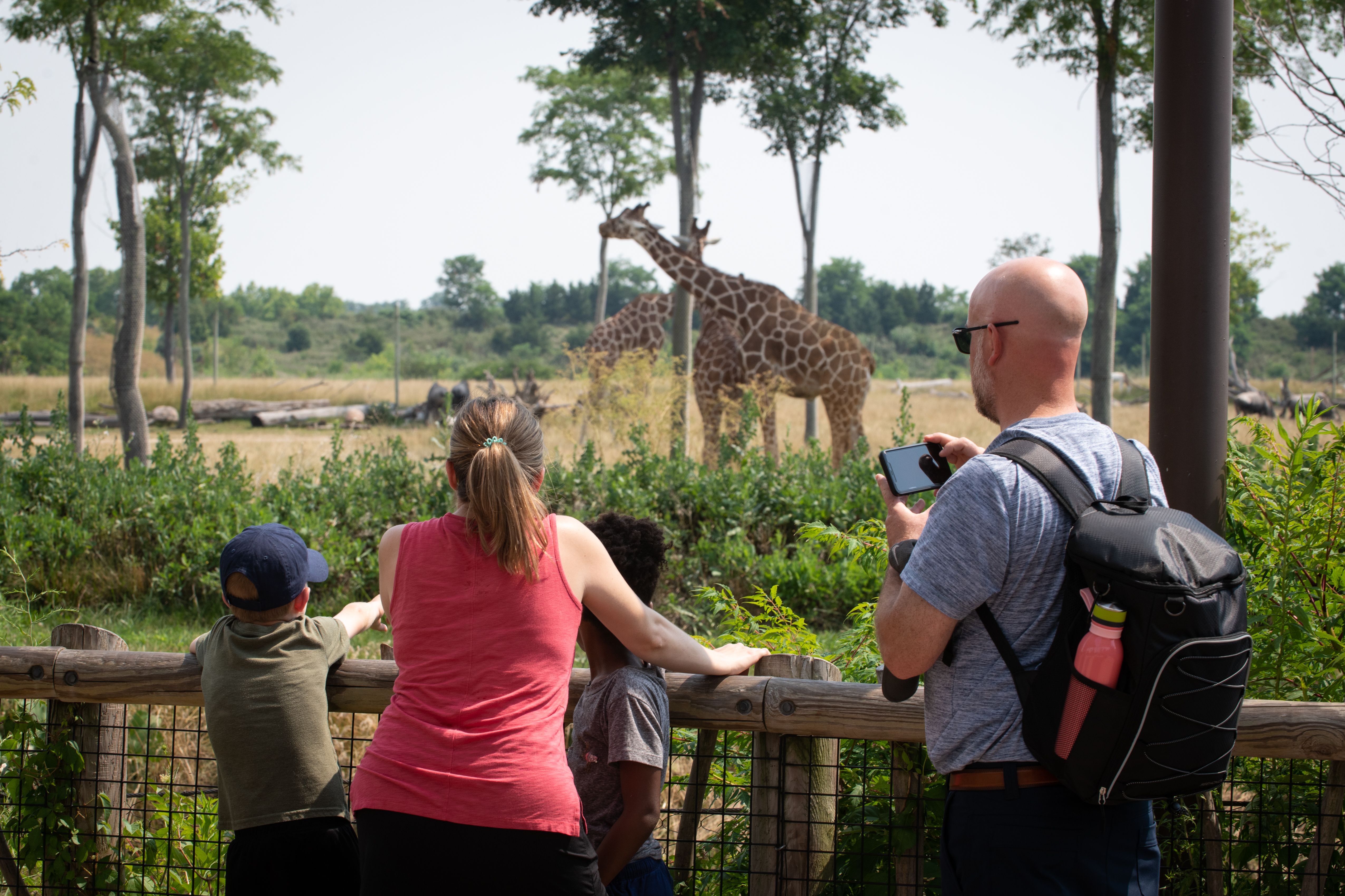Guests look at giraffes in the Heart of Africa savanna