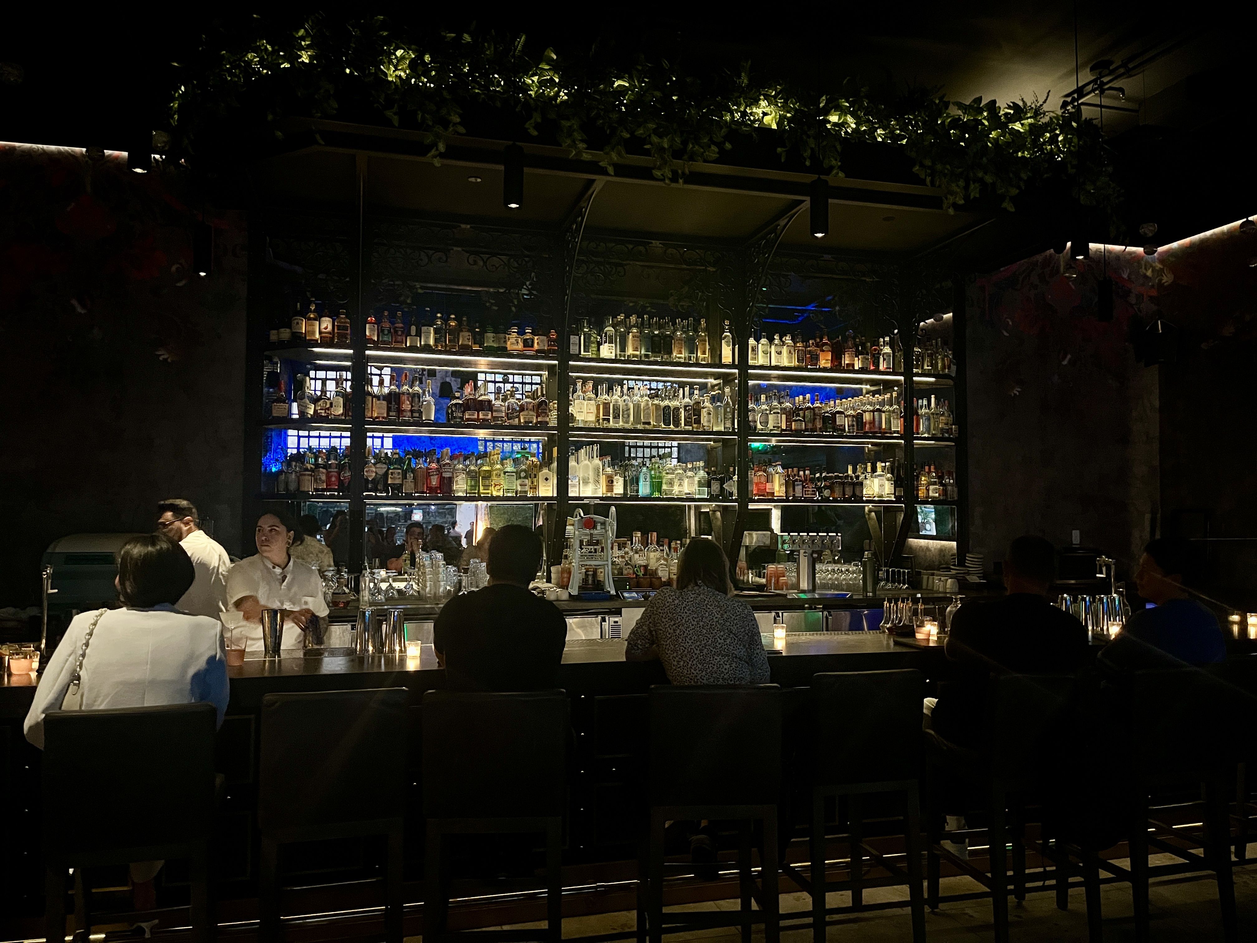 People sit at an upscale bar with the back wall of liquor lit up and greenery on top.