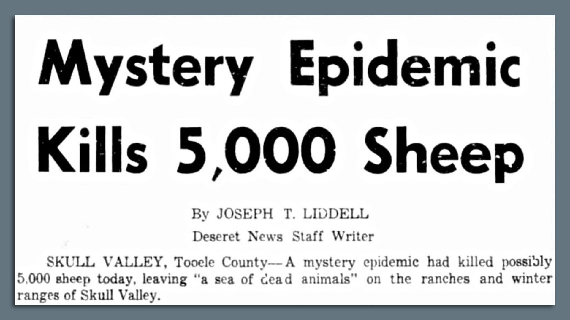 A newspaper headline states "Mystery Epidemic Kills 5,000 Sheep."