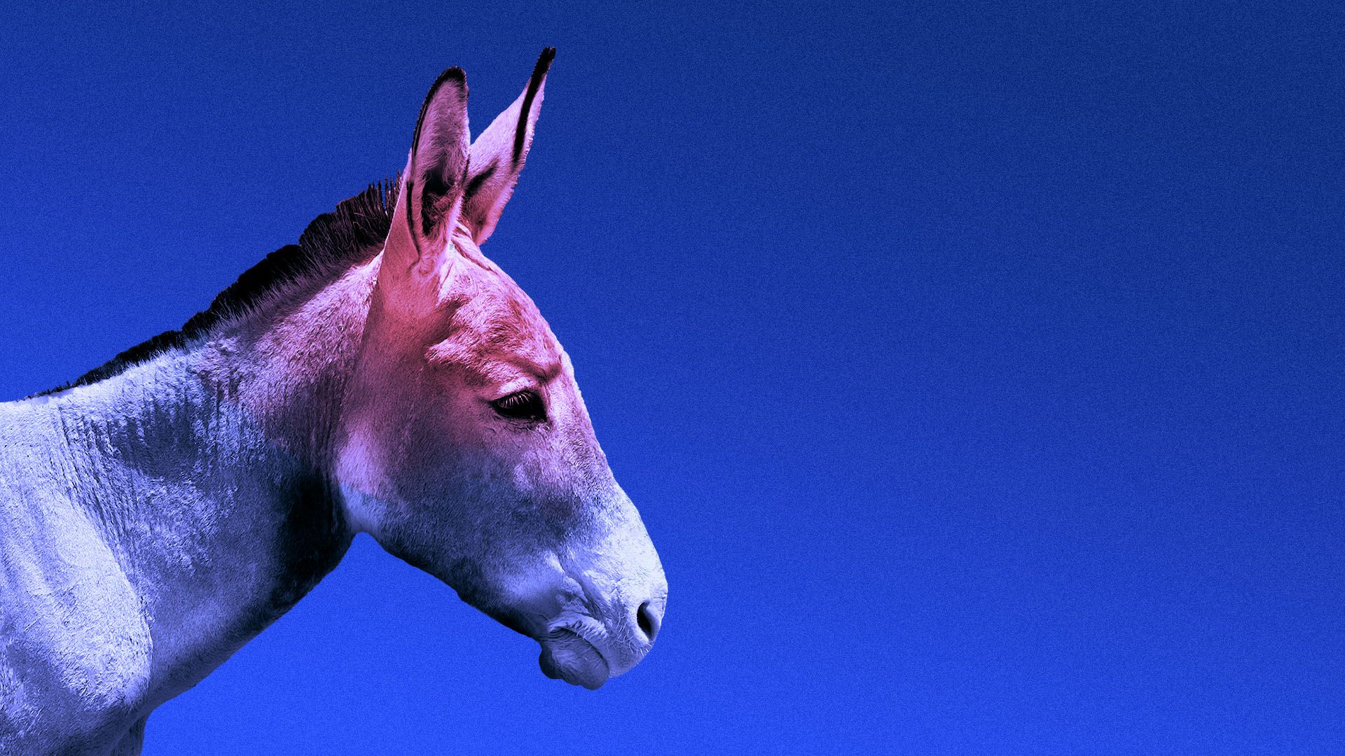 Illustration of a frowning donkey with a red face