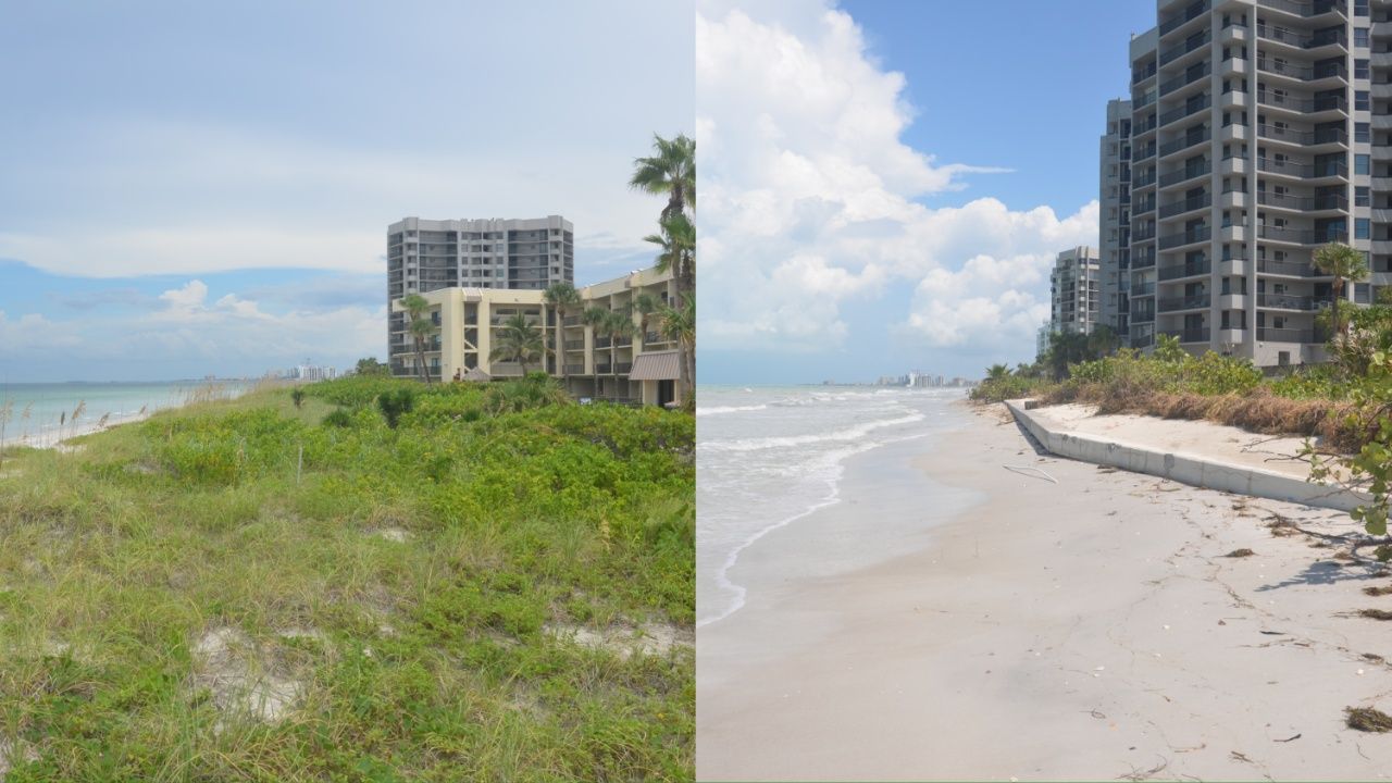 A composite of the same stretch of beach before and after a hurricane. On the left, the beach has a a green patch of dunes. On the right, the dunes are gone, and a seawall lays exposed.