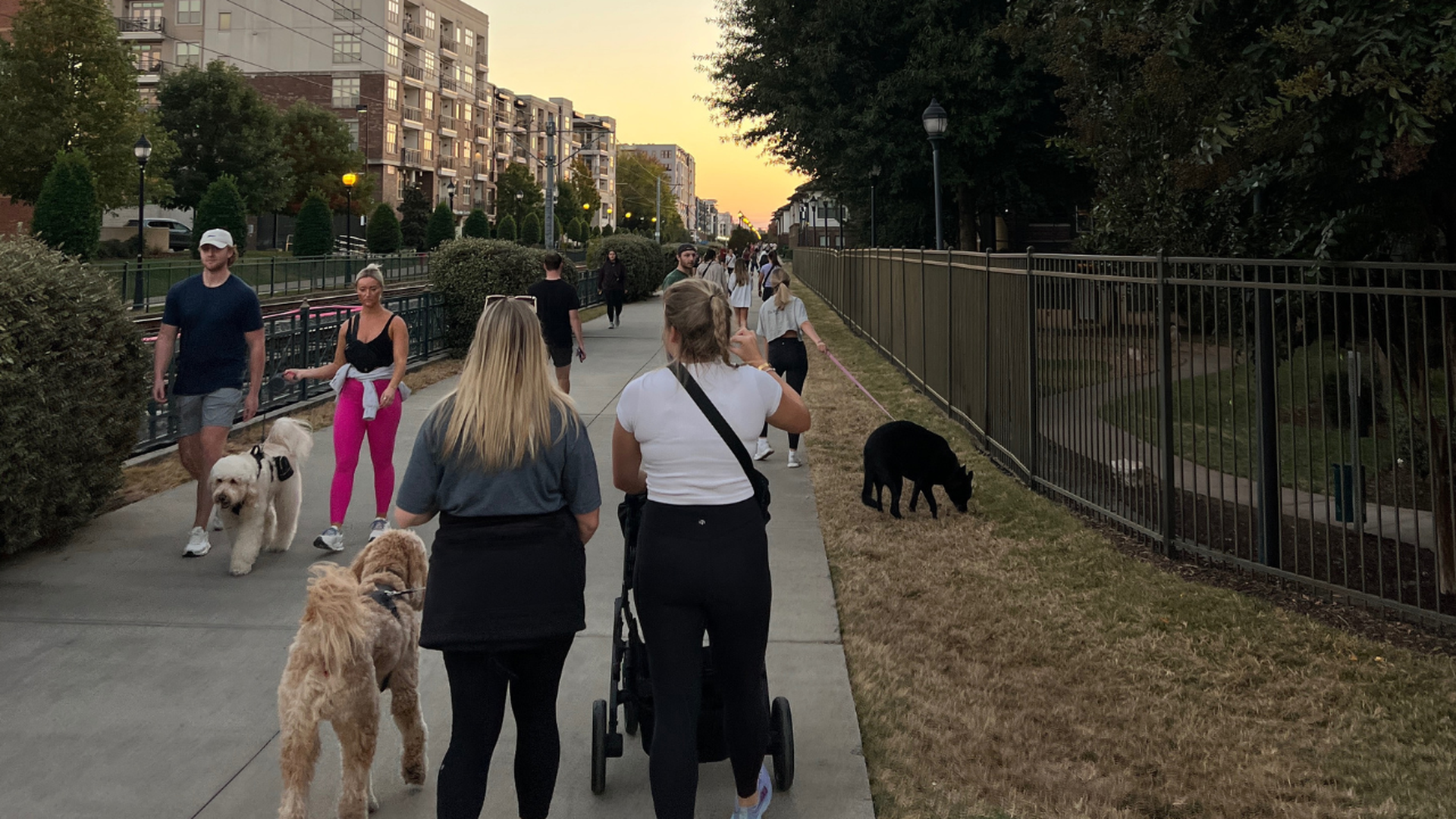 People and dogs walking along a wide city sidewalk at sunset, with apartment buildings and trees lining the path, and a stroller being pushed.