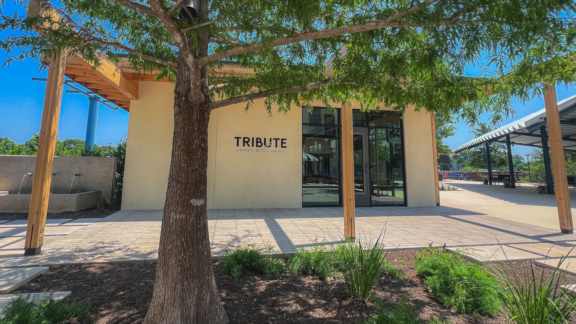 A beige building shaded by a tree.