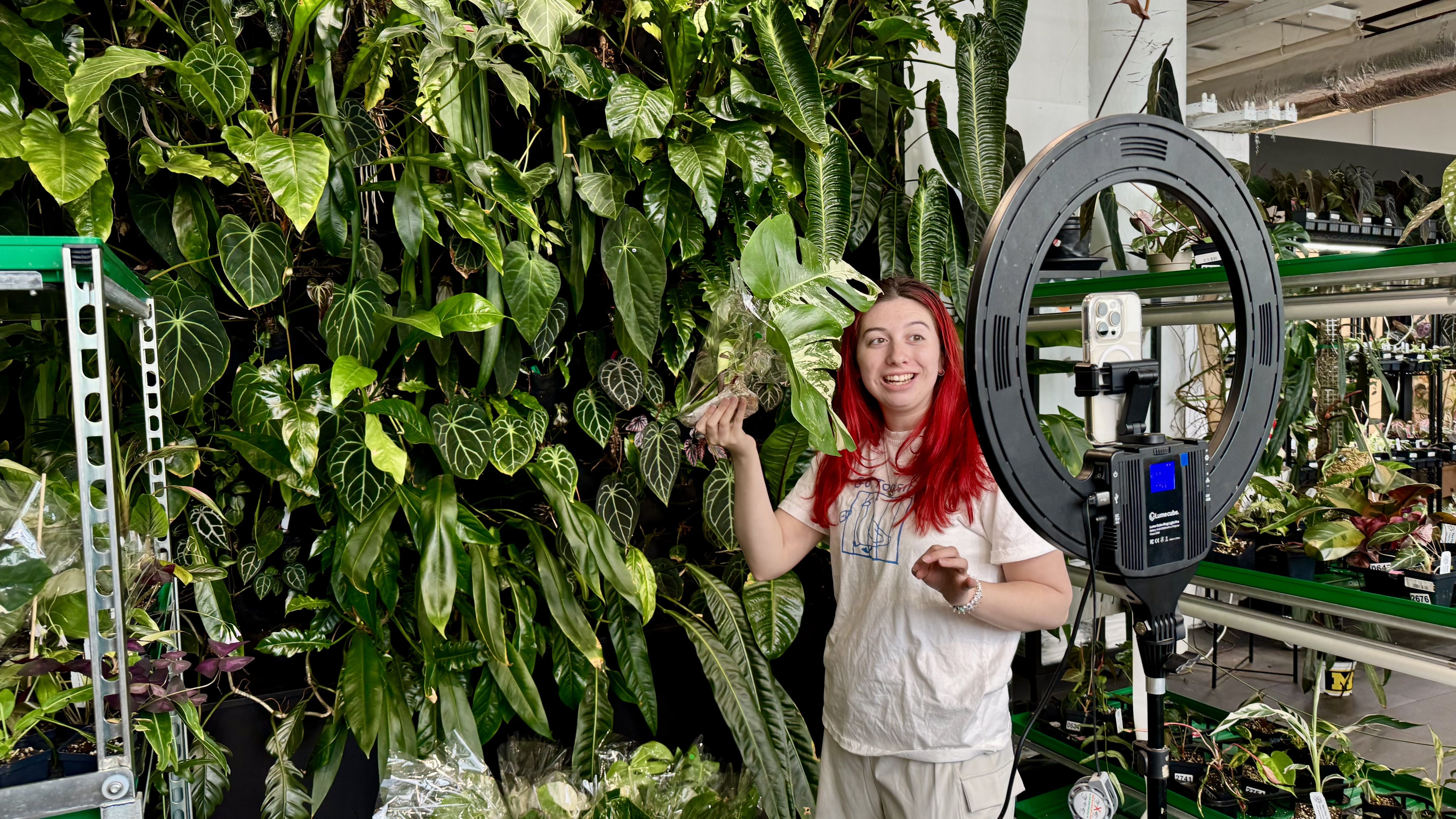 An employee holds up a plant in front of a camera, with a background that is a wall of plants